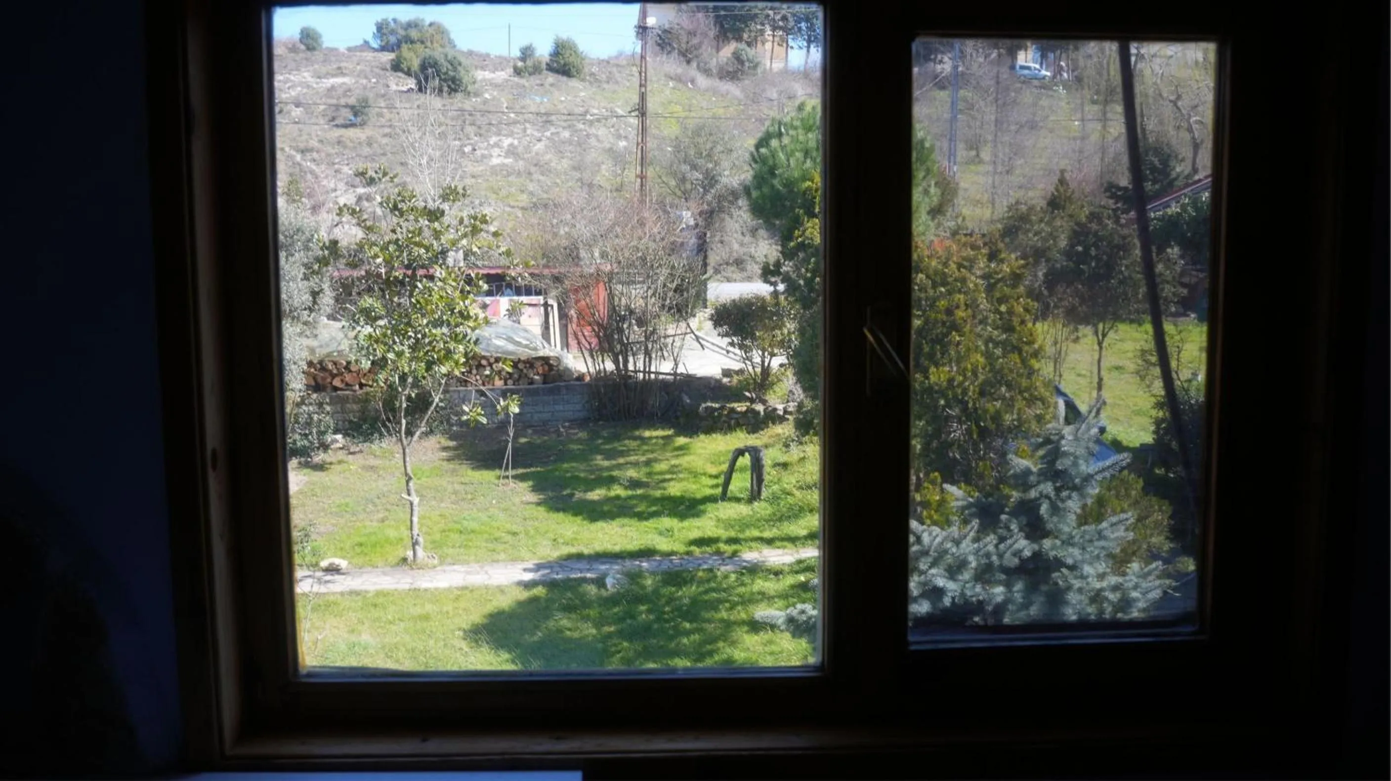 Garden view in Treetops Park Hotel