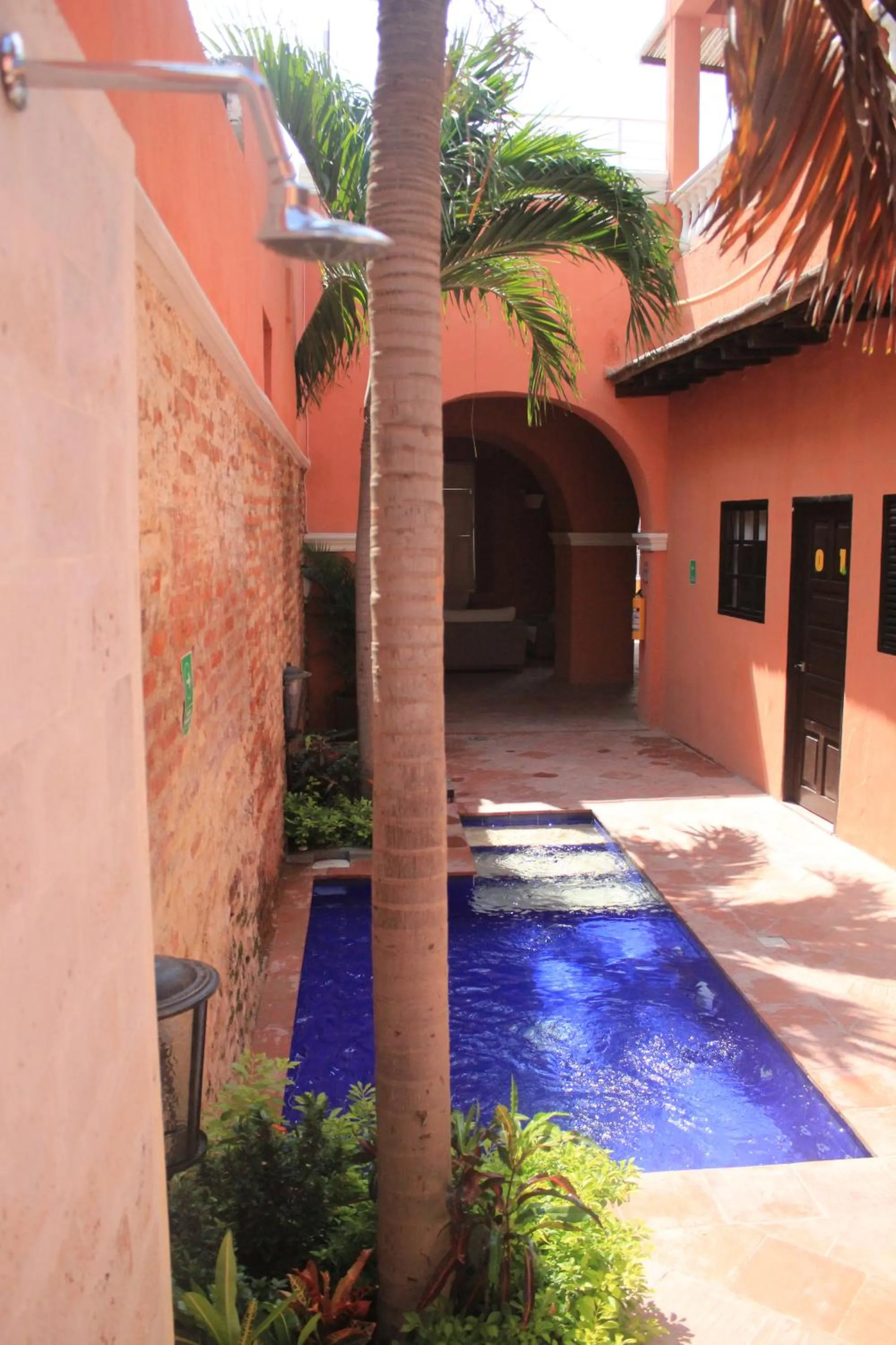 Garden in Gagaka Rua hostel