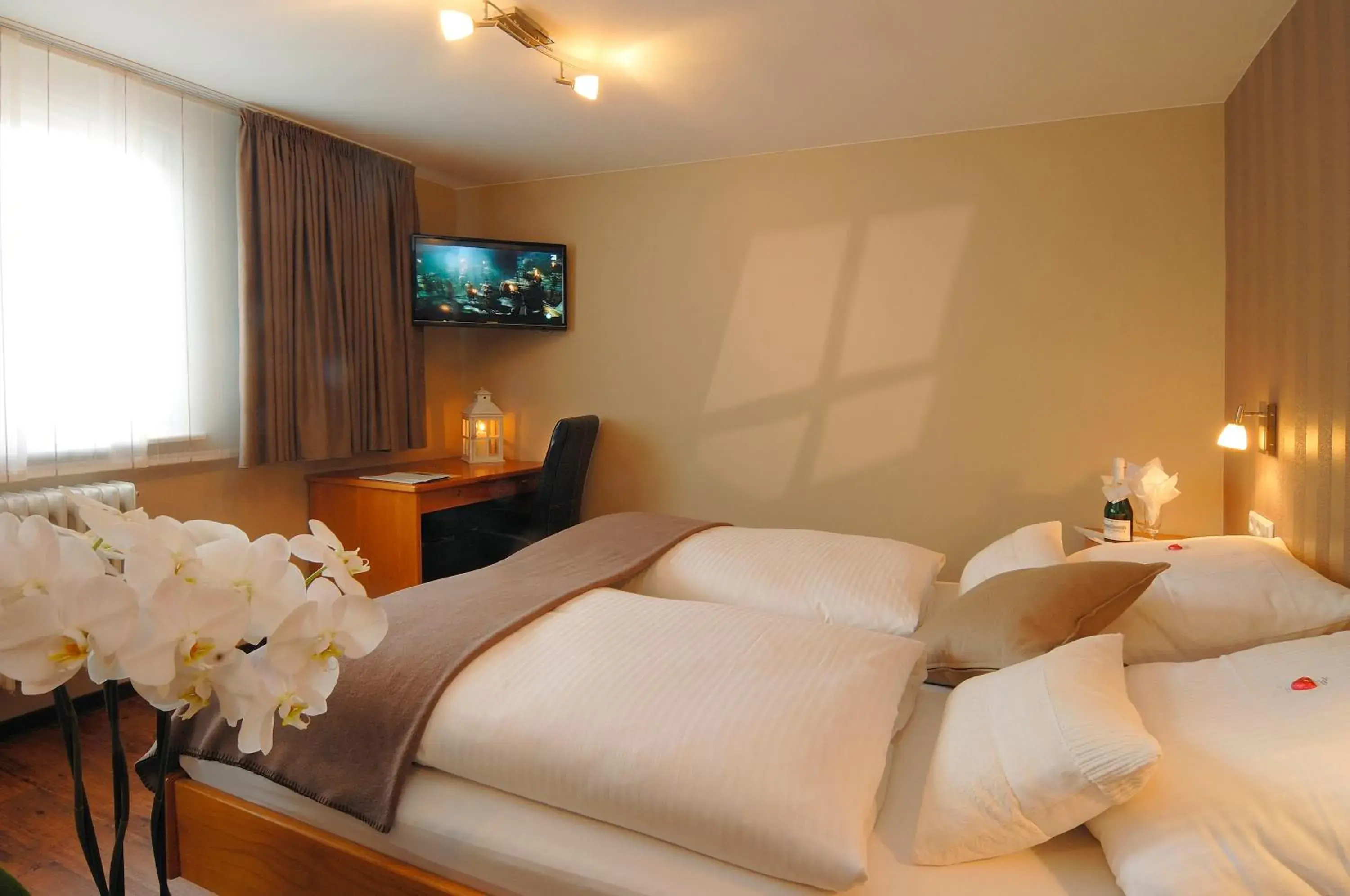 Double Room - single occupancy in Gasthaus zum Ochsen Double Room - single occupancy in Gasthaus zum Ochsen