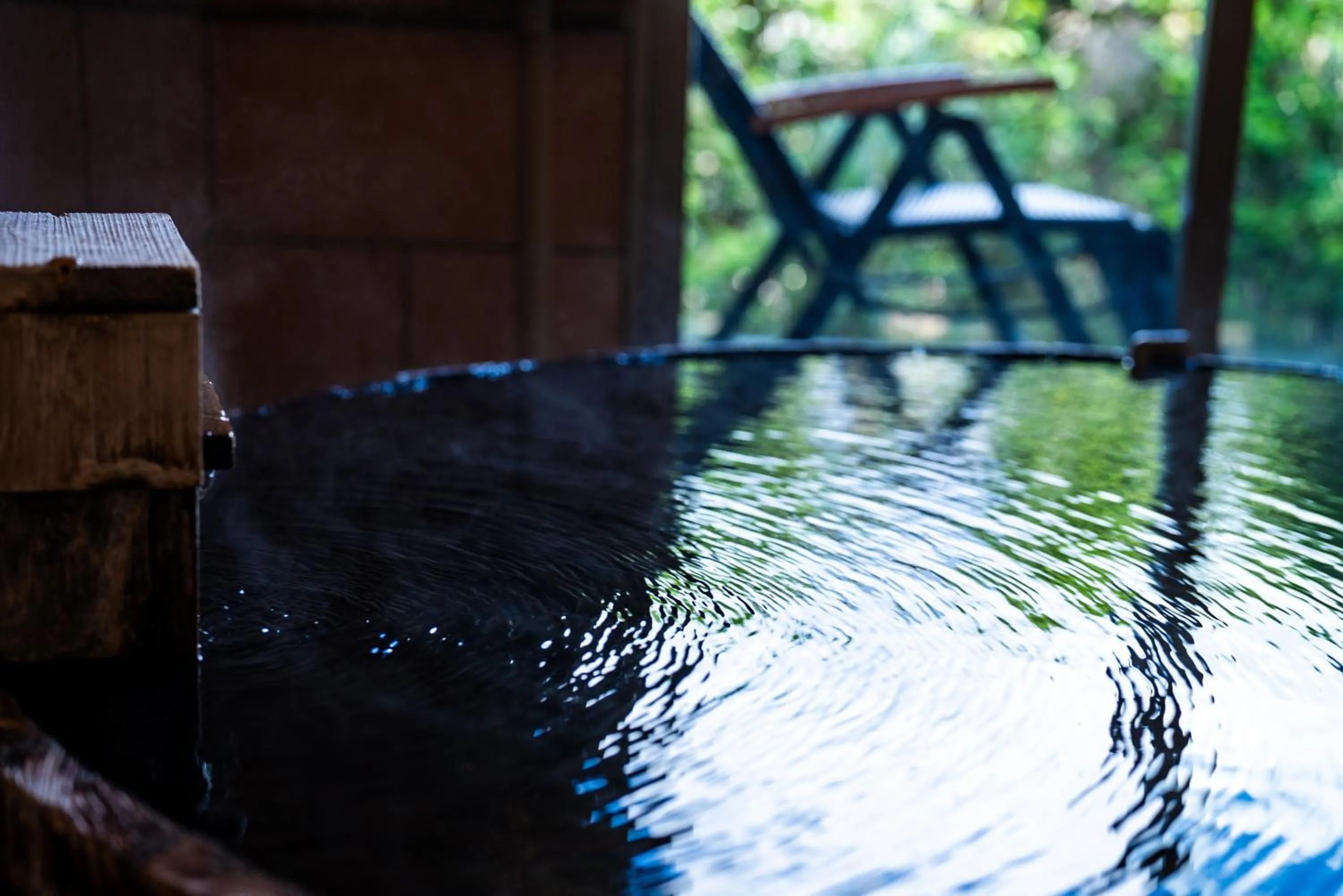 Hot Spring Bath in Saigakukan