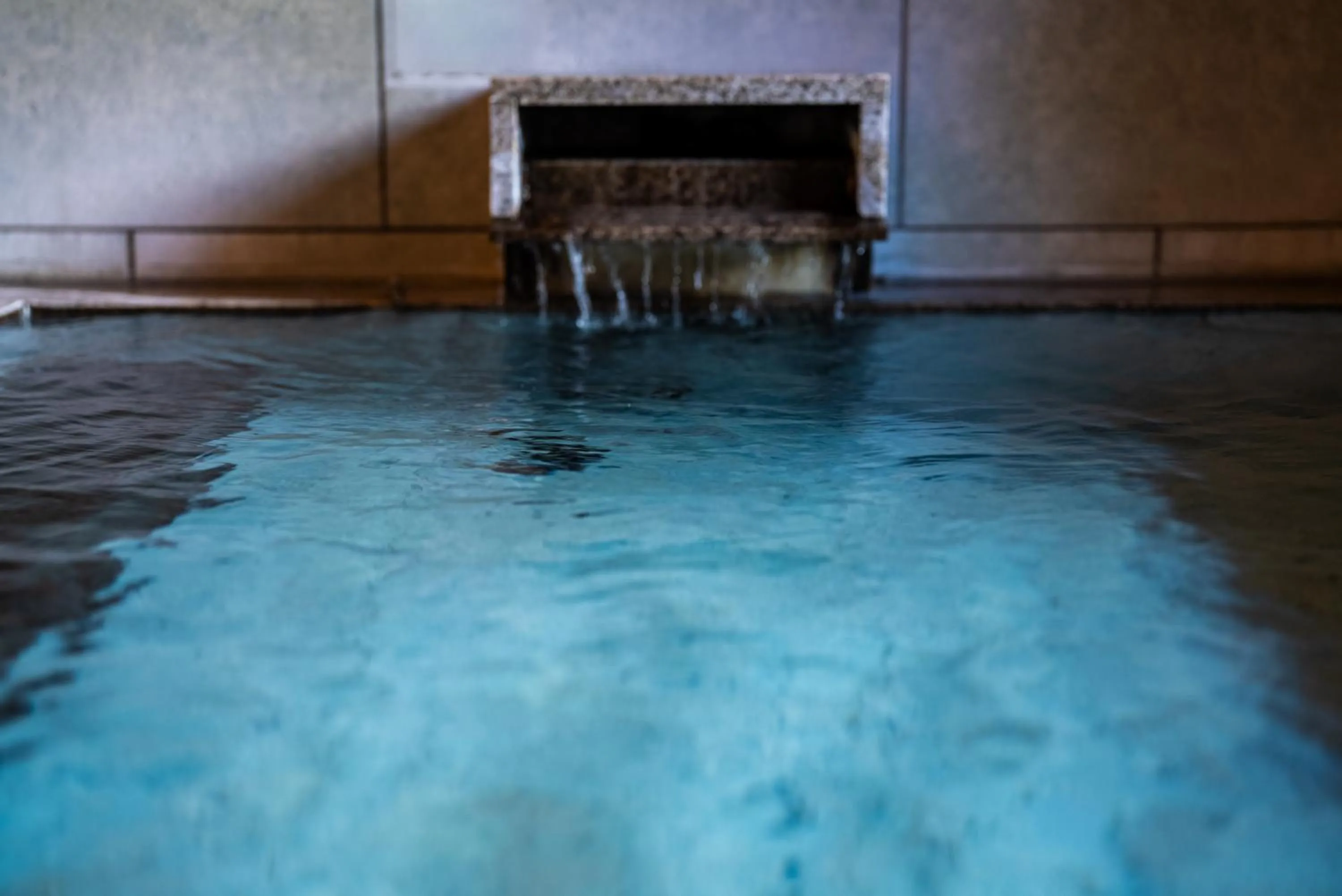 Hot Spring Bath in Saigakukan
