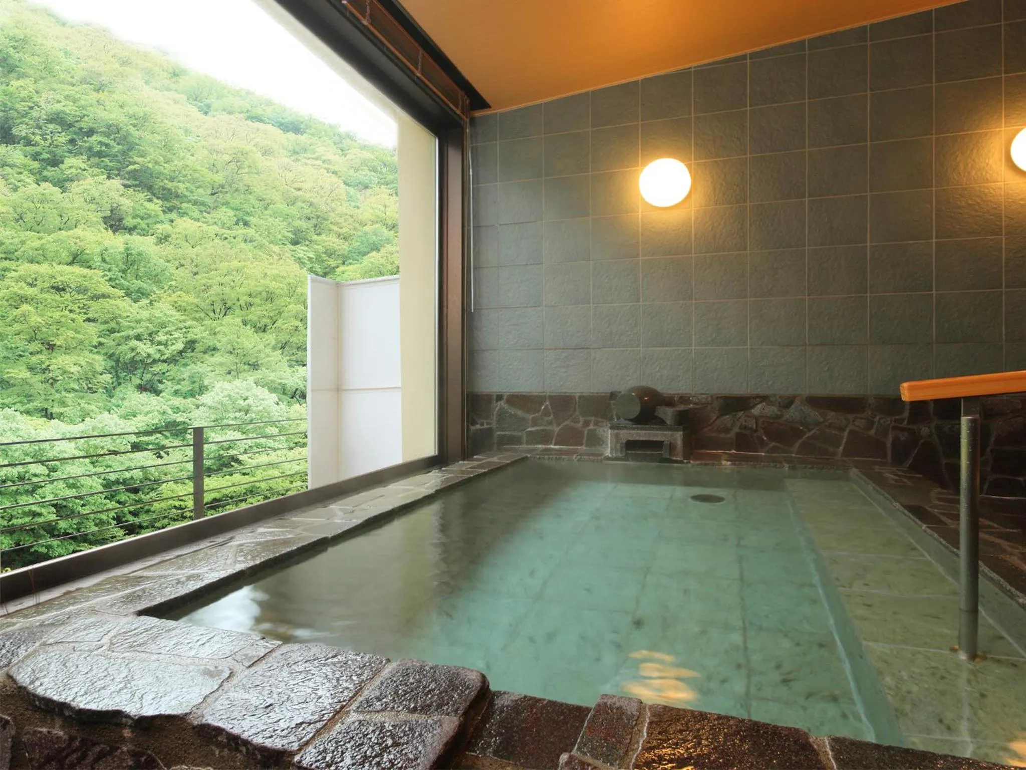 Hot Spring Bath in Asaya