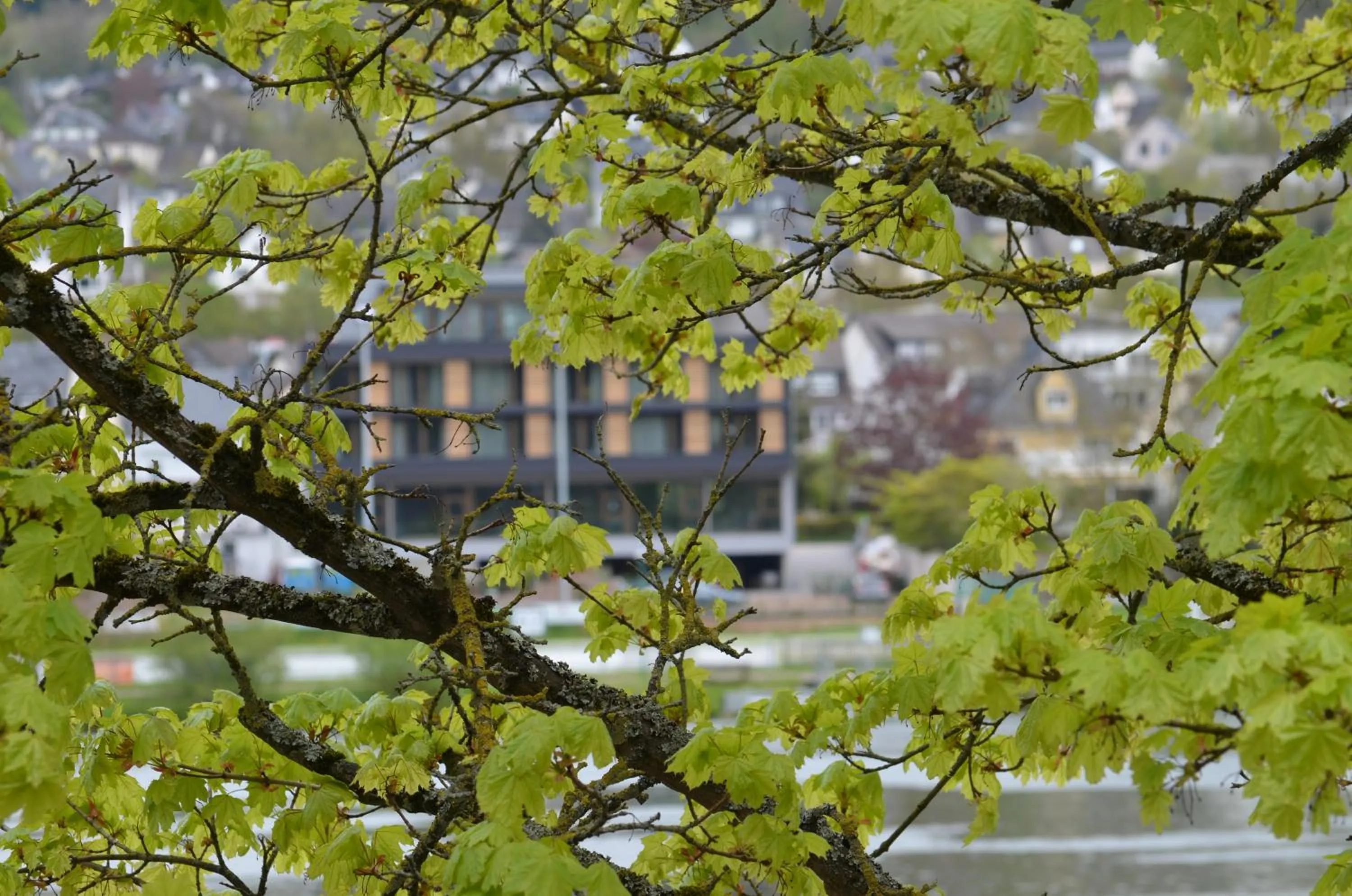 Property building in Boutique Hotel Moselgarten