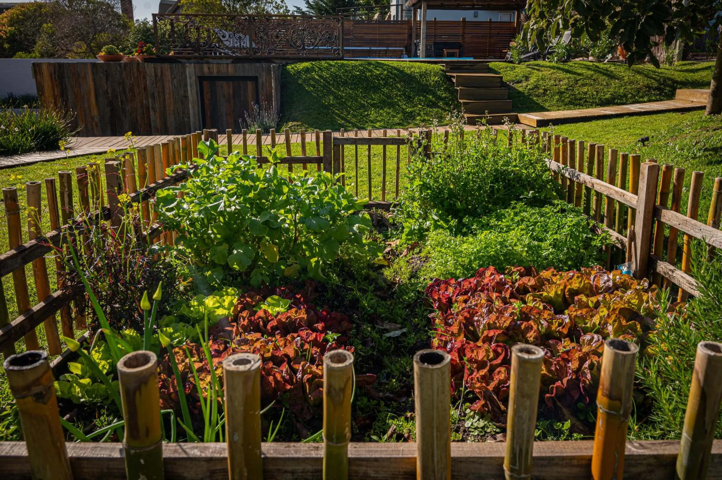 Garden view in Muelles del Diablo Tranquilo