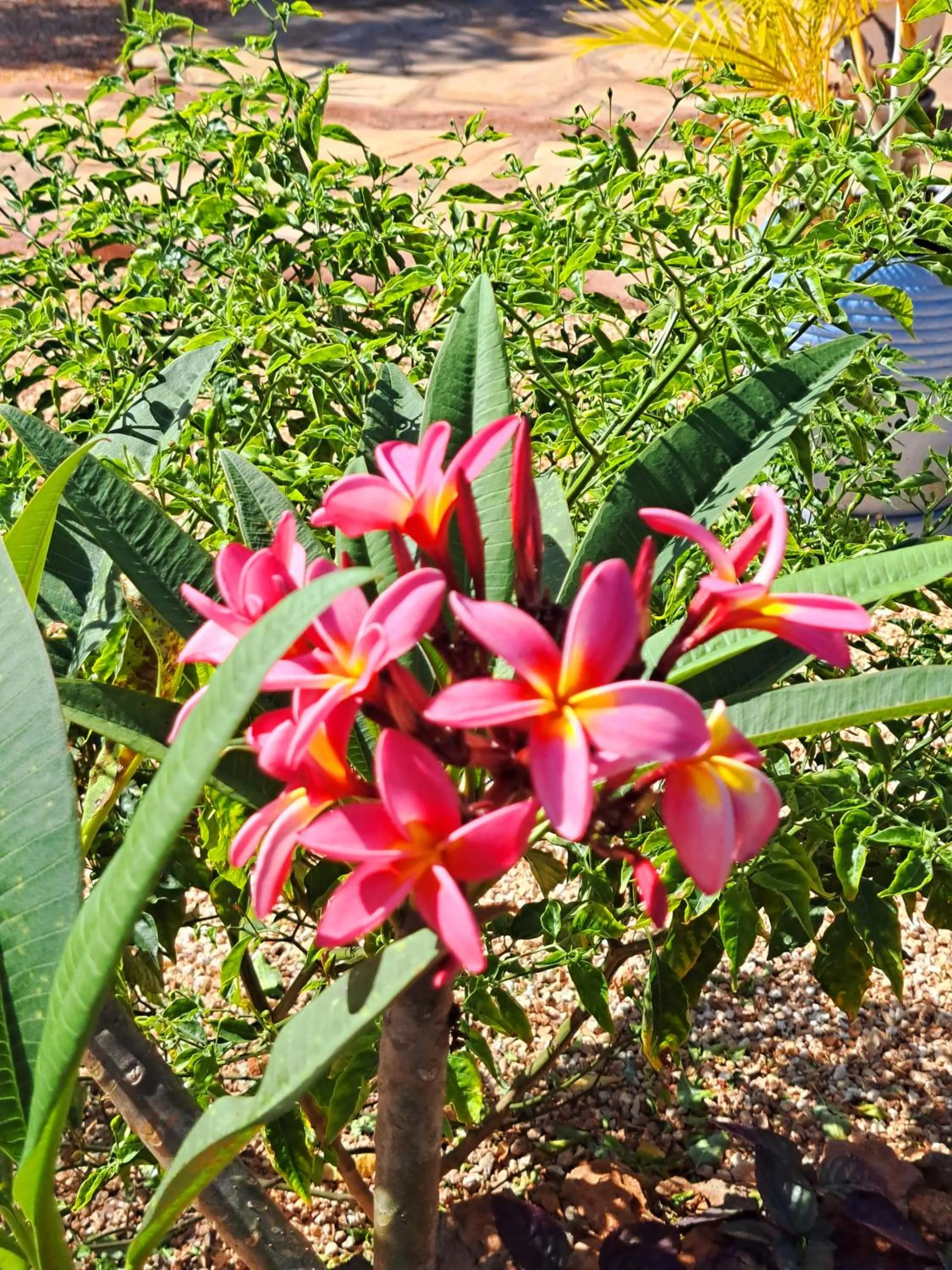 Staff in Mimi na wewe villa