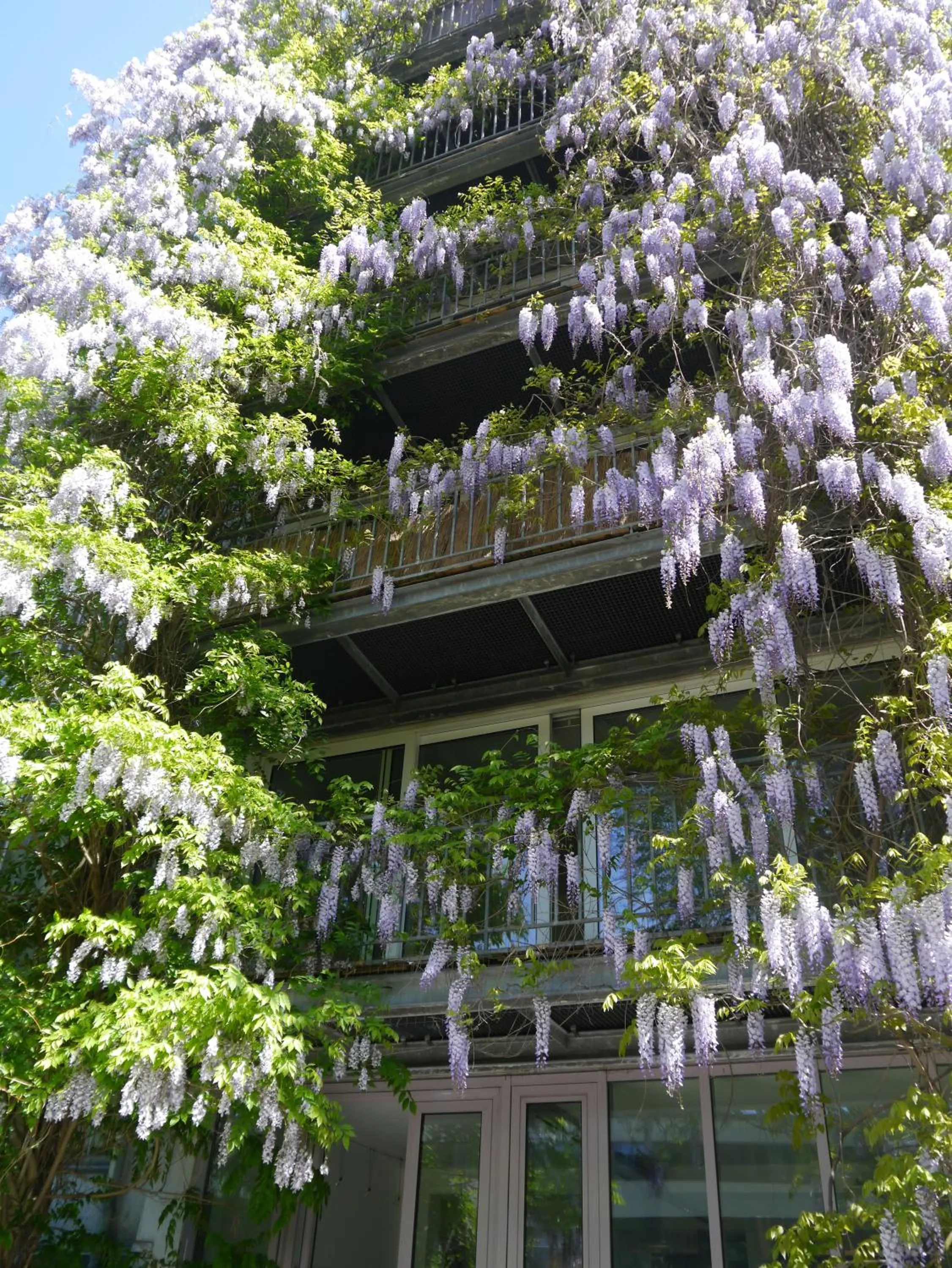 Property building in Pallazzo Alfonso