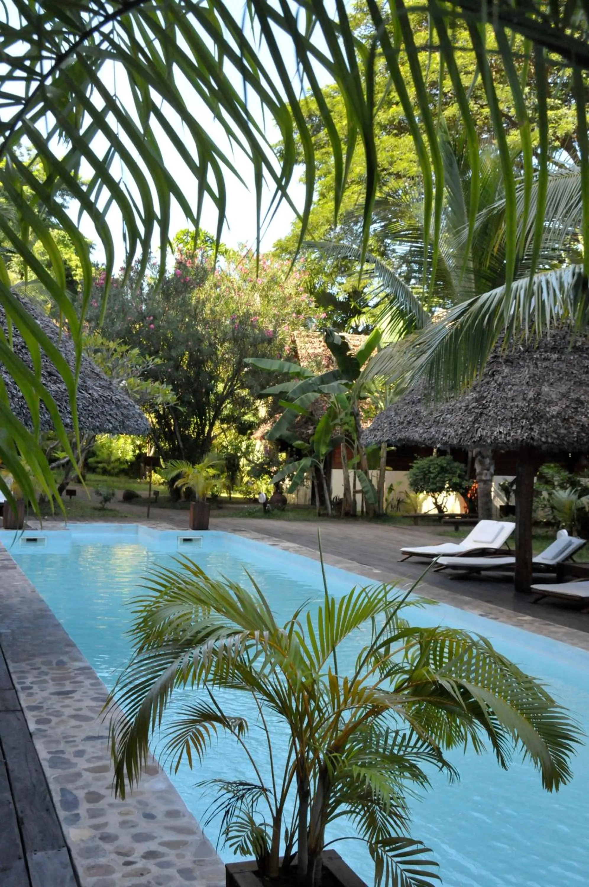Swimming pool in L'heure Bleue