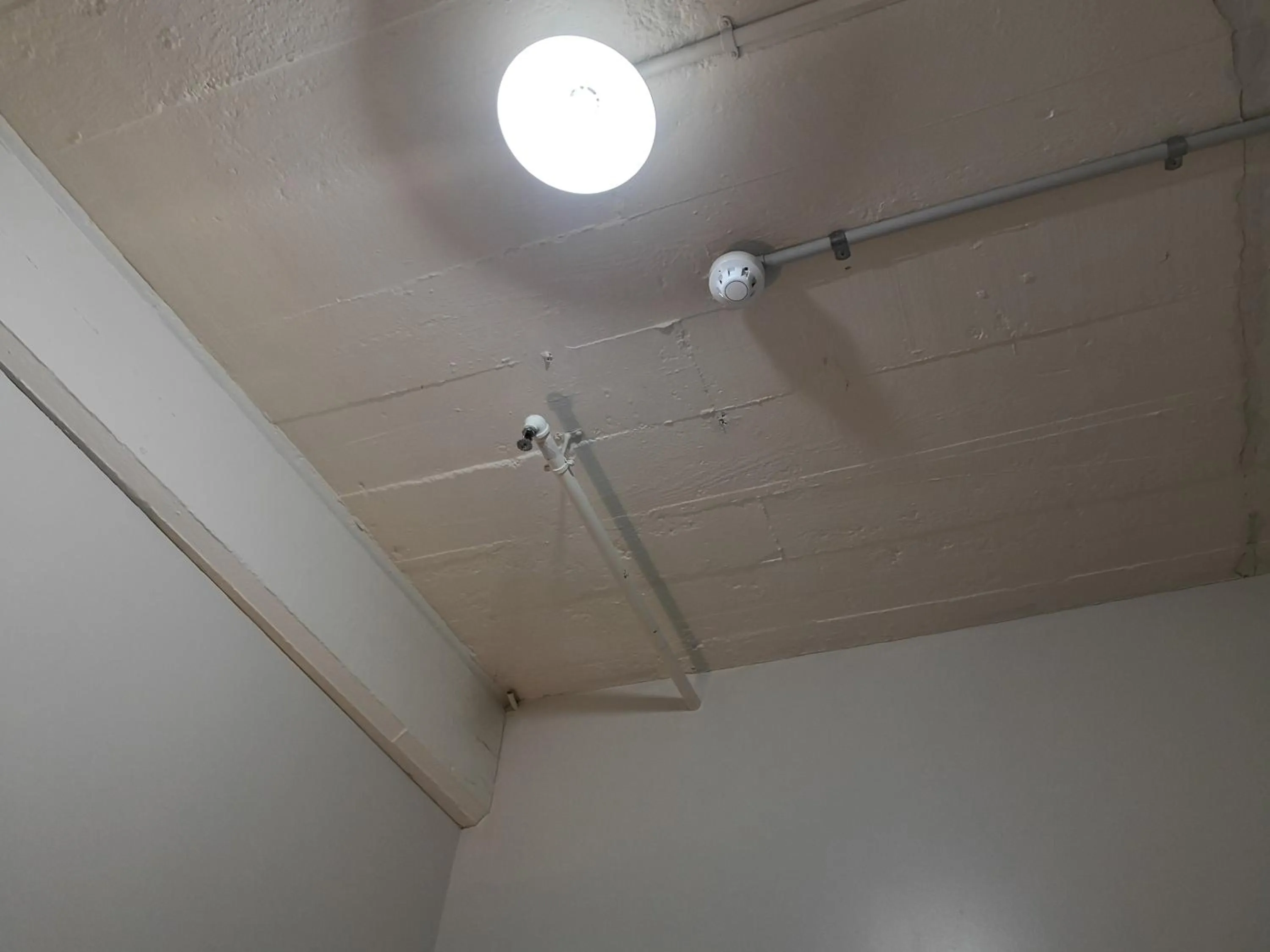 Property building in Oceanic Hostel