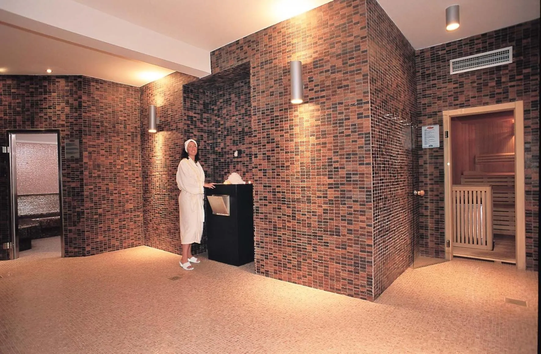 Spa and wellness centre/facilities in Terme Europa