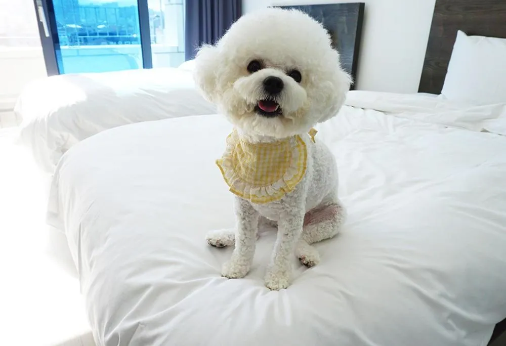 Bed in World Sky Residence Hotel