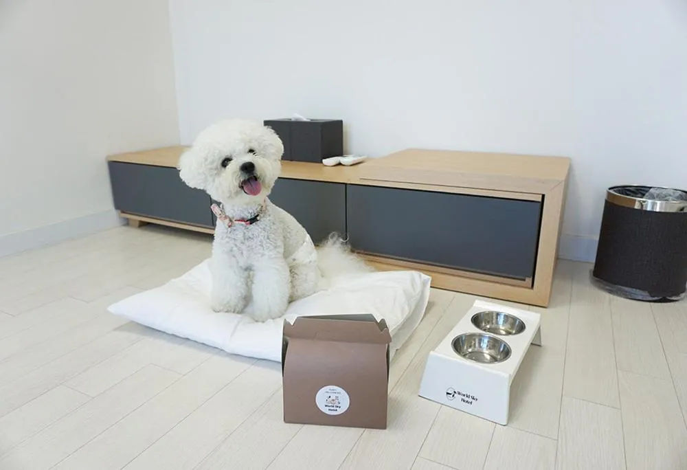 Pets in World Sky Residence Hotel
