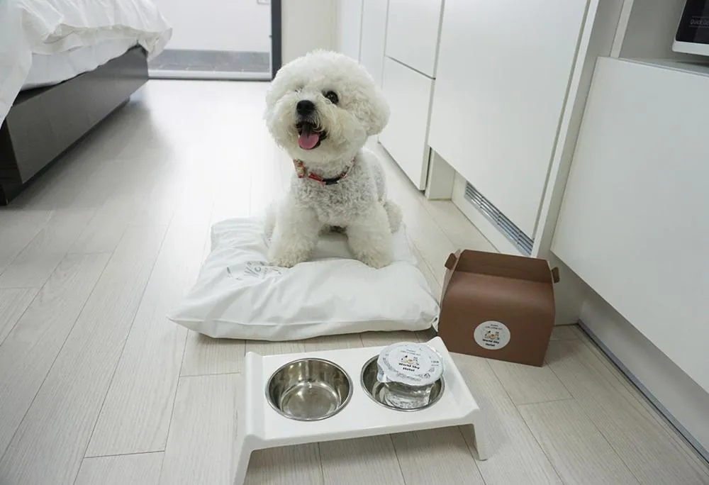 Pets in World Sky Residence Hotel