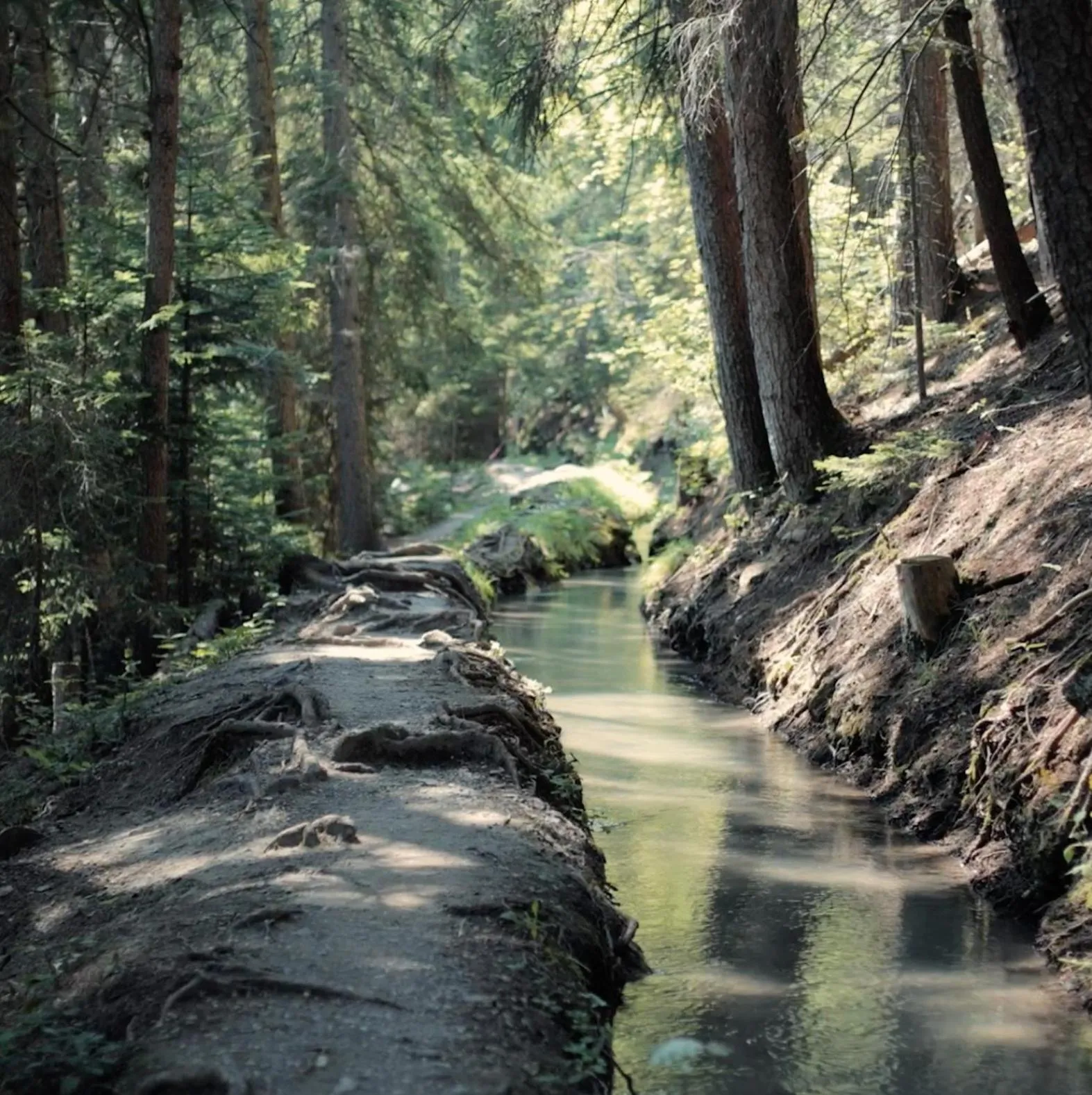 Activities in Woodland Village Anzère