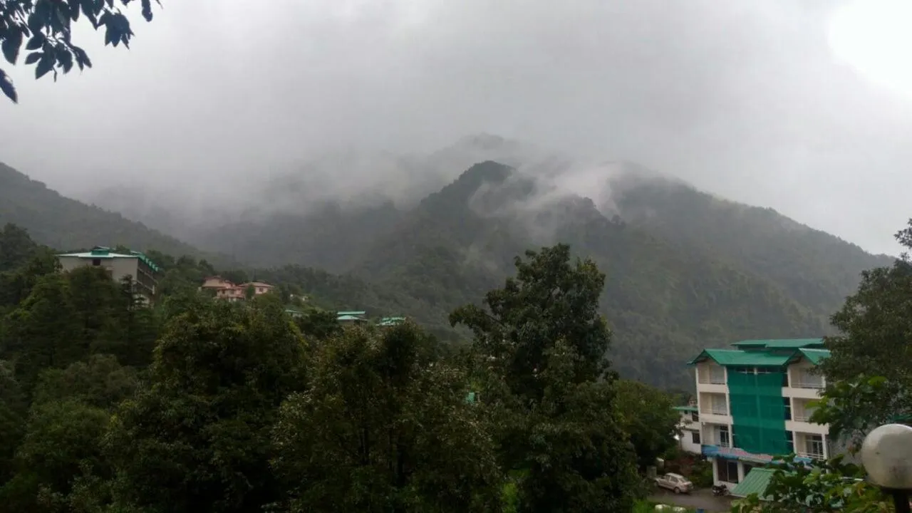 Janardan Resort Pangot Nainital