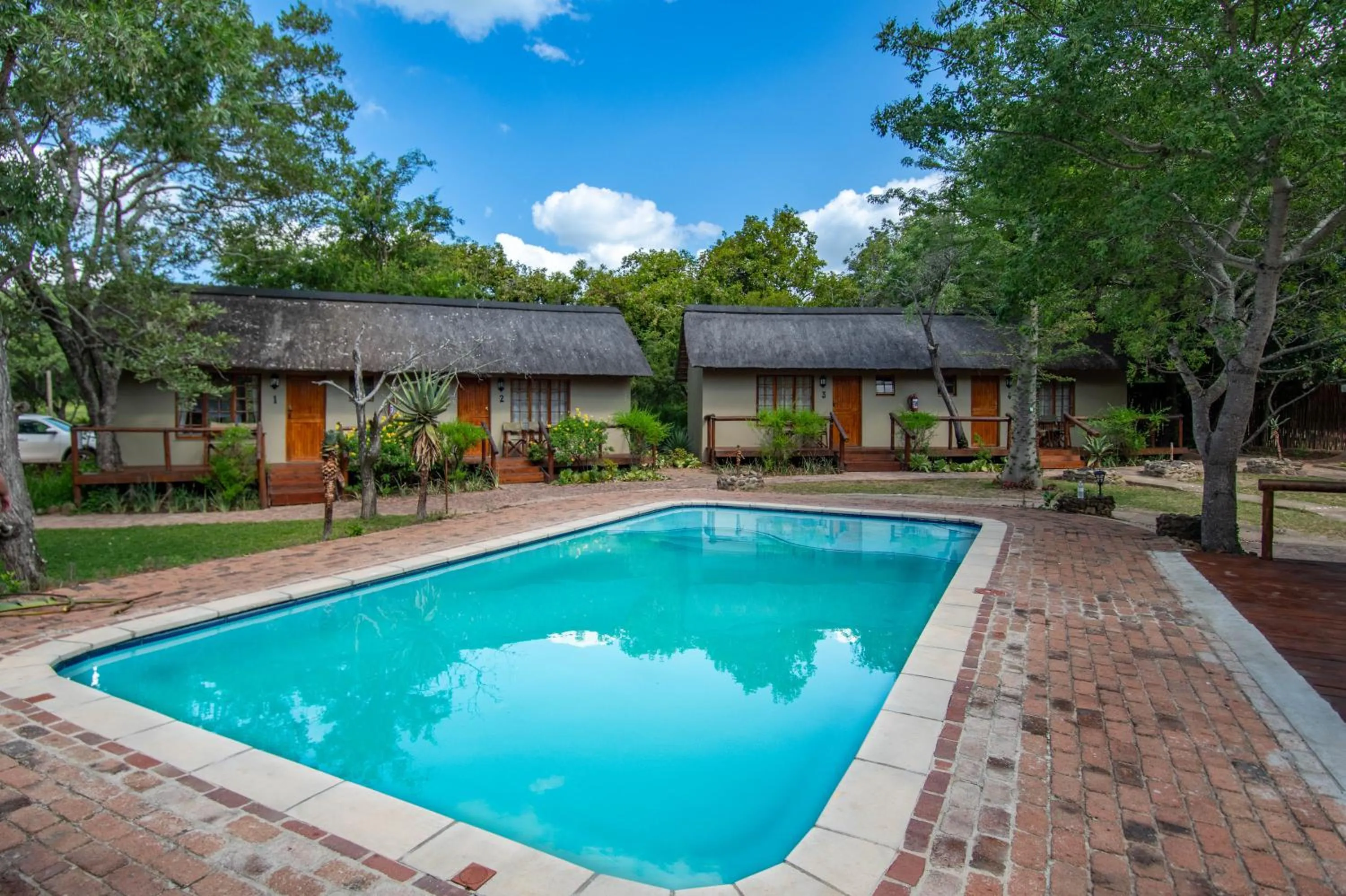 Swimming pool in Thornhill Safari Lodge