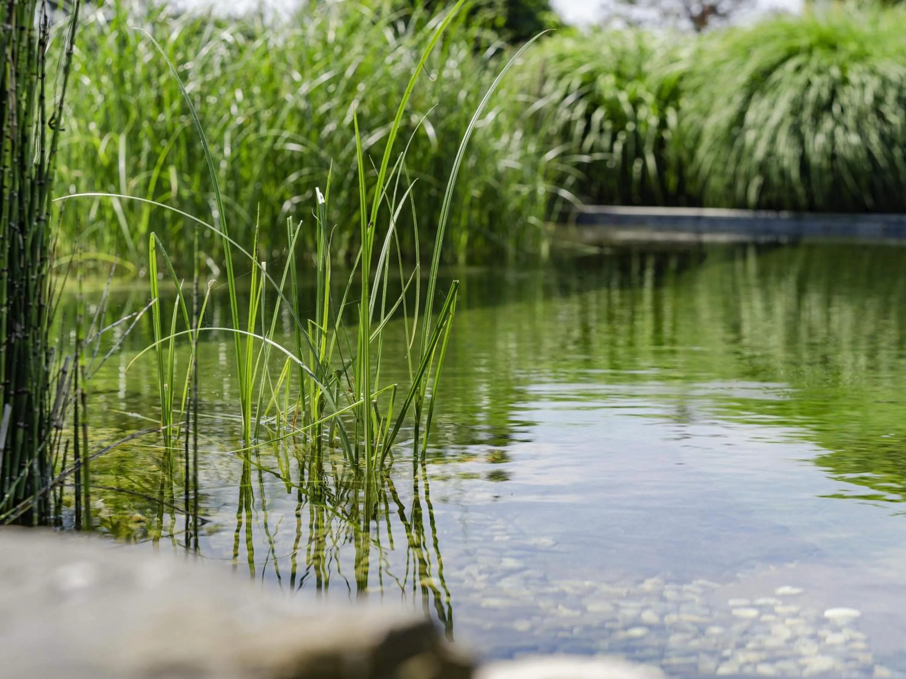 Other in Novotel Lausanne Bussigny