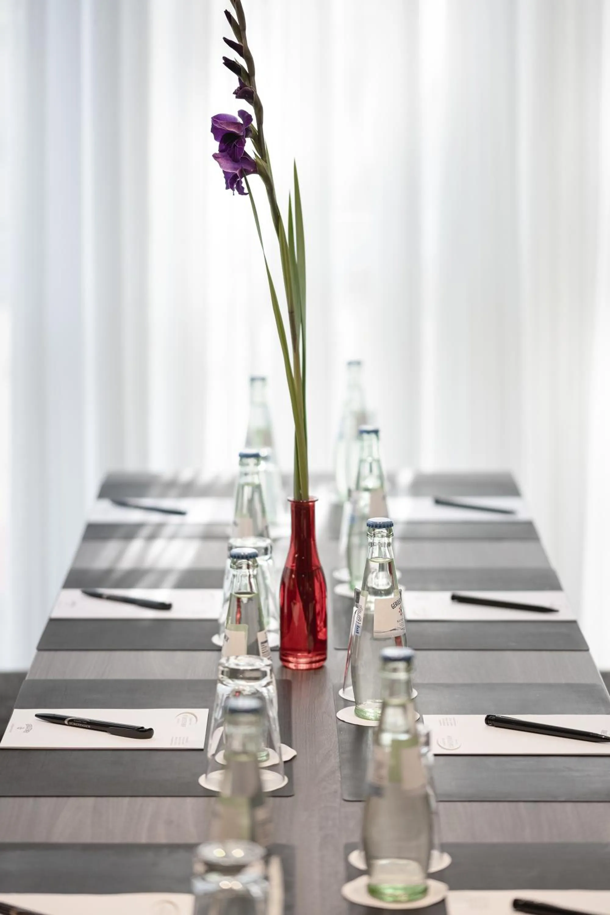 Business facilities in Sympathie-Hotel Fürstenhof