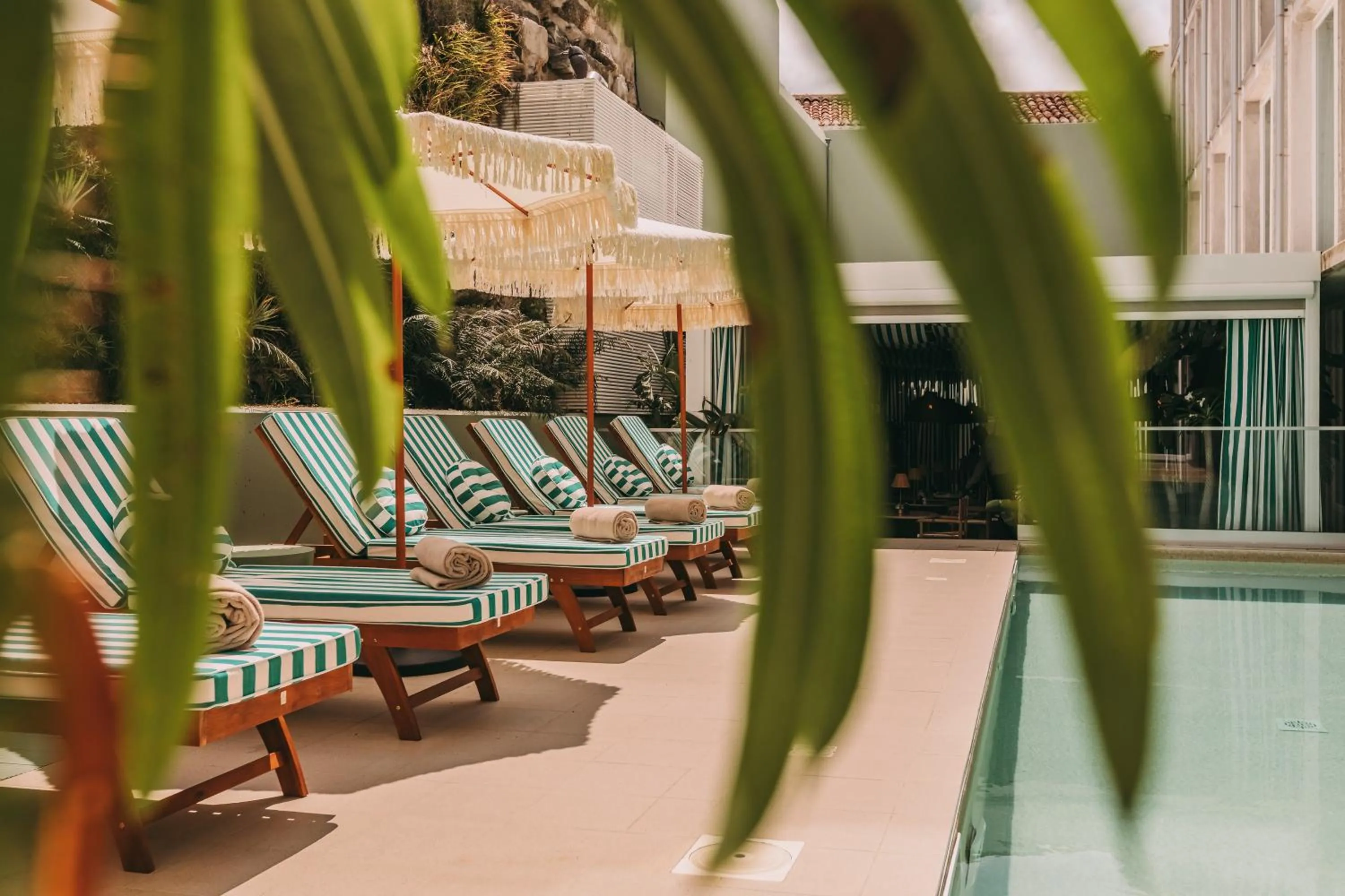 Swimming pool in Torel Terra Brava