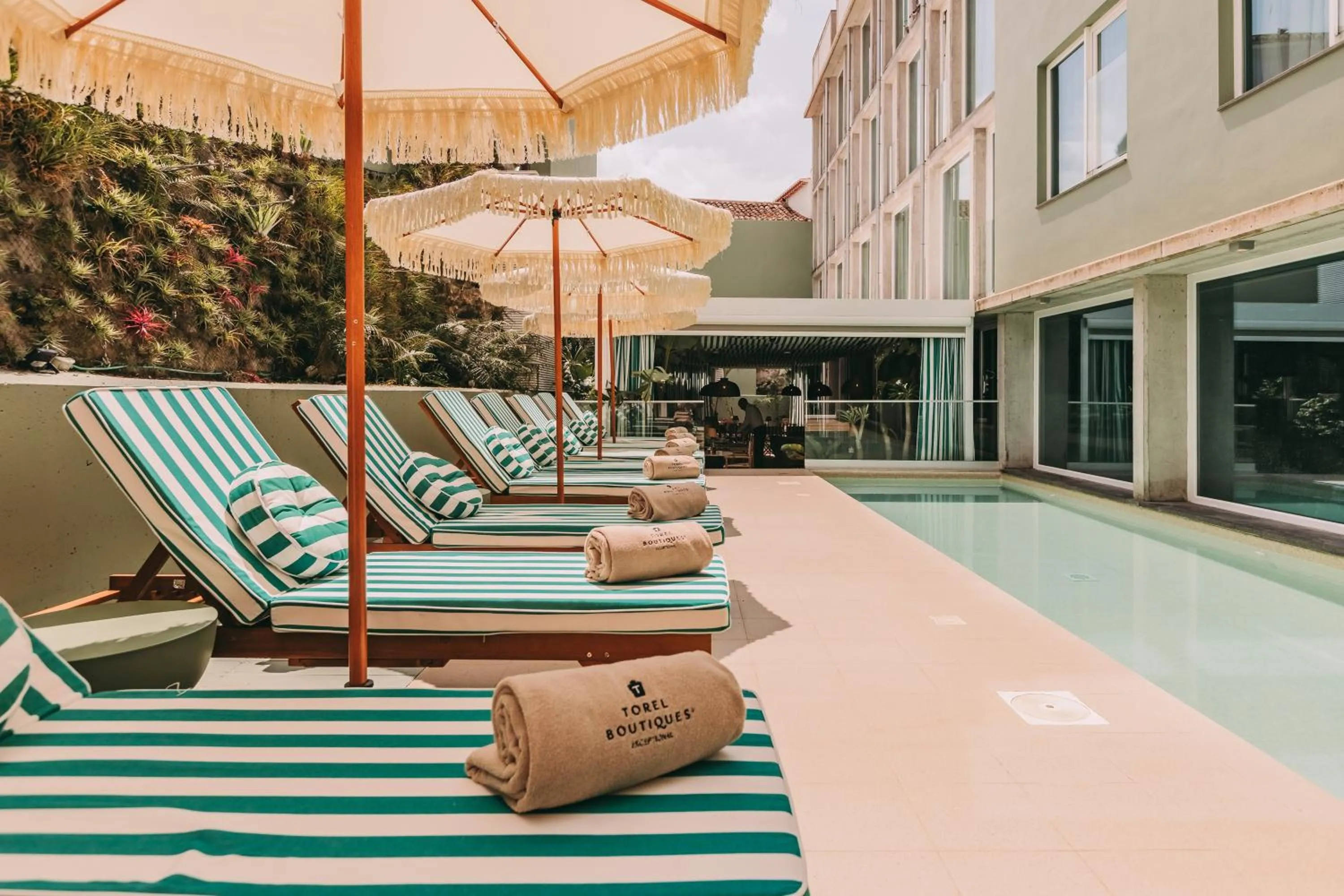 Swimming pool in Torel Terra Brava