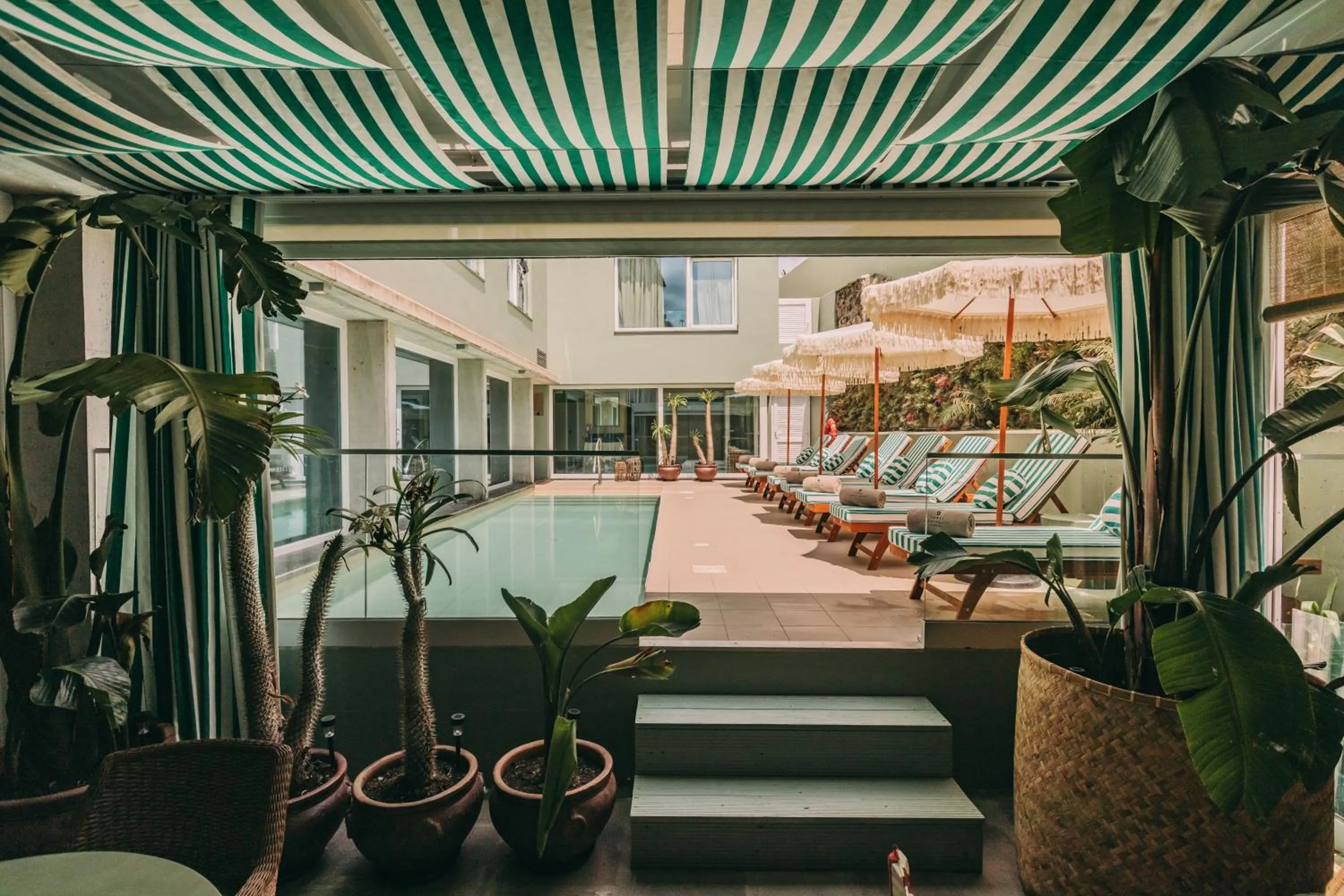 Swimming pool in Torel Terra Brava