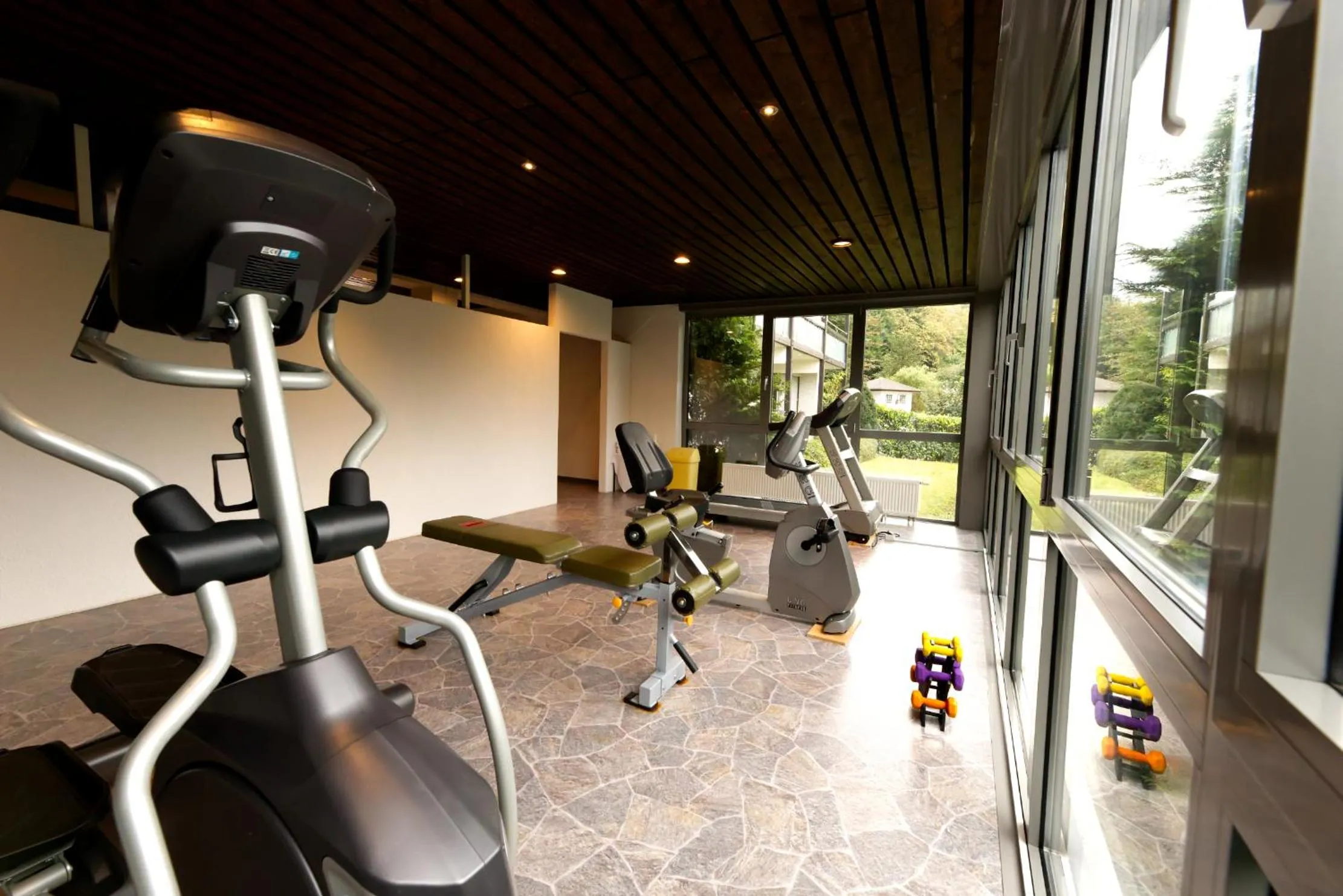 Fitness centre/facilities in Parkhotel Hammerberg
