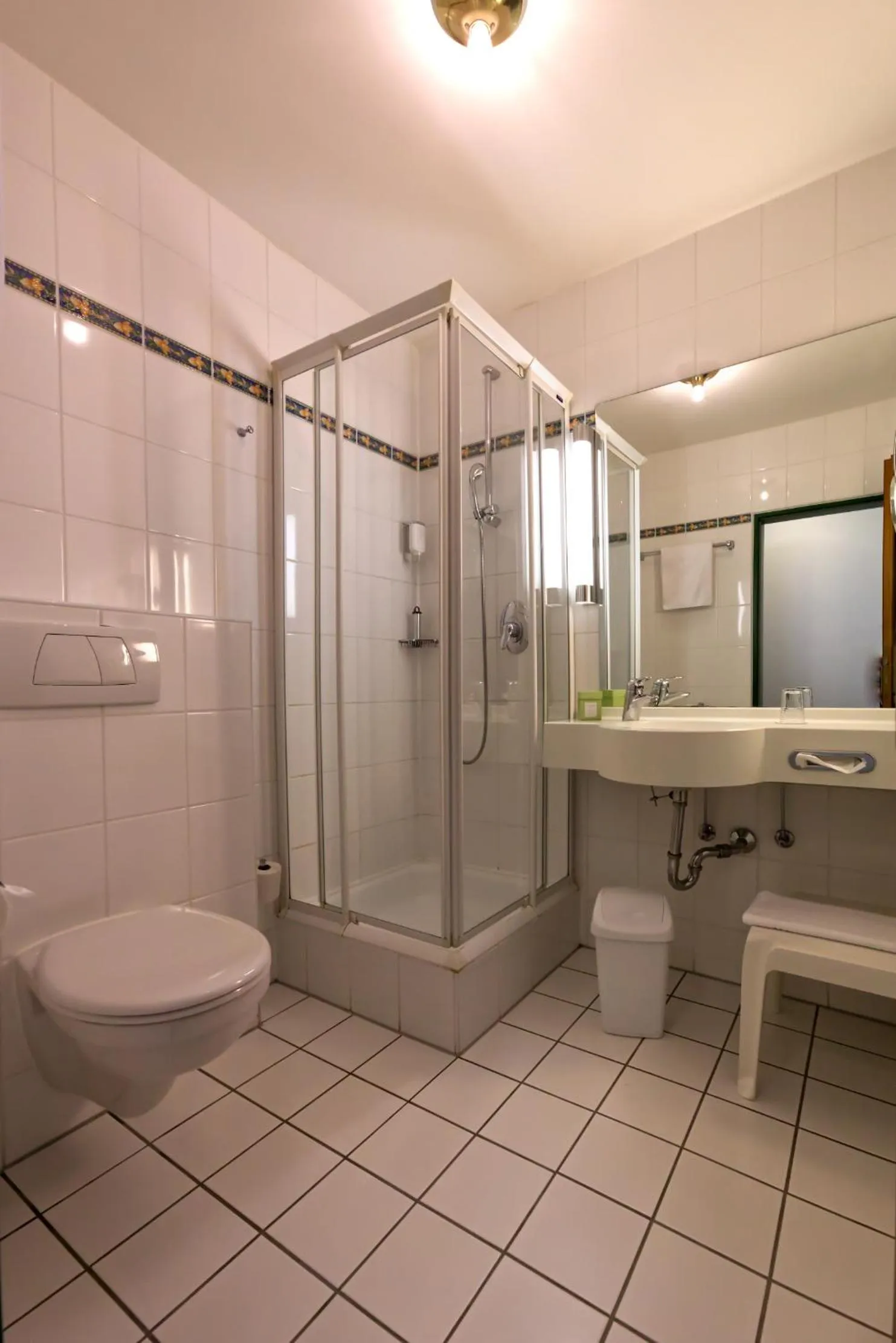 Toilet in Parkhotel Hammerberg