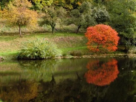 Property building in Appartements Maison Bellevue