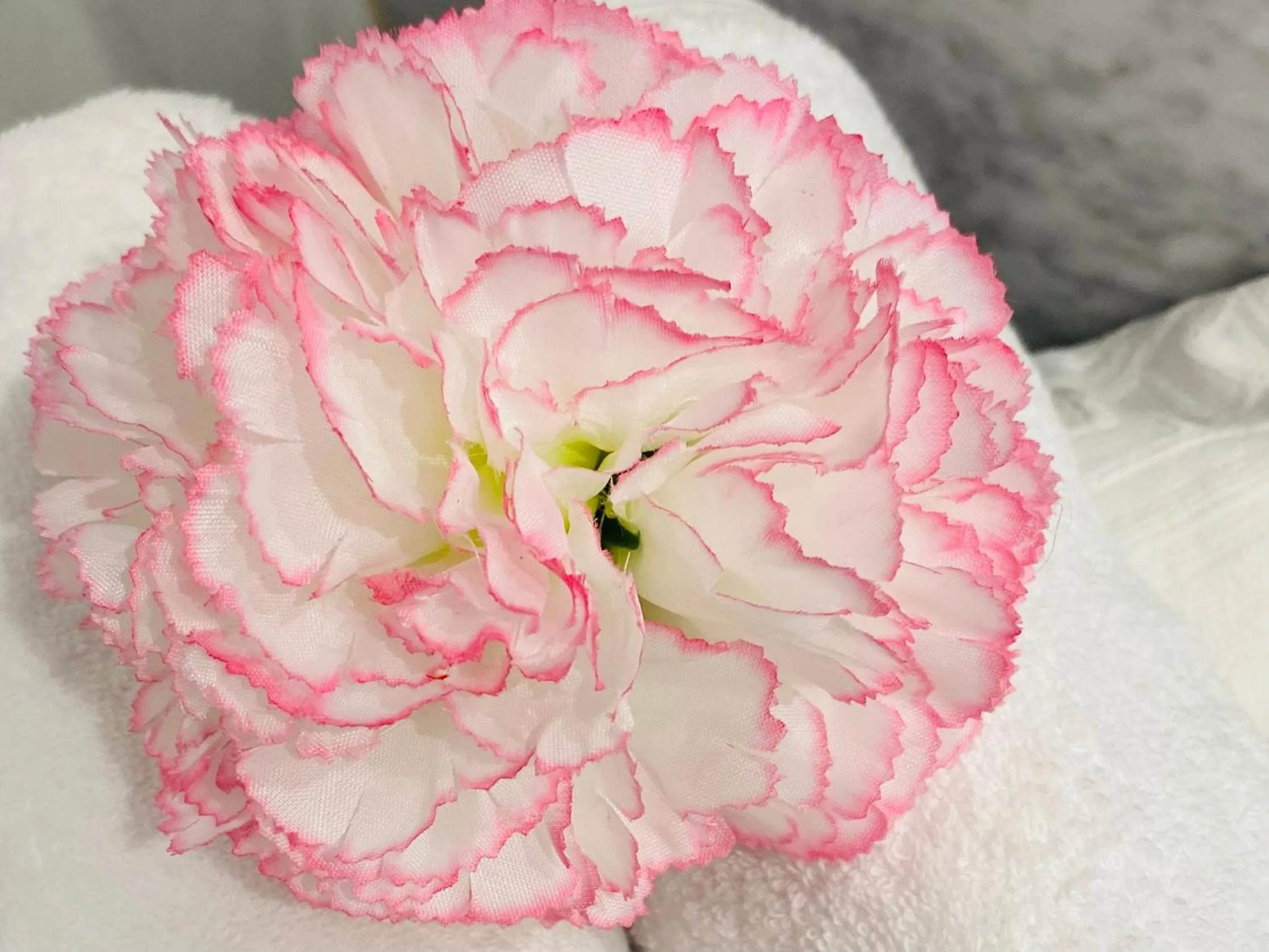 Résidence de la baie 2 - BLEU SOLEIL TARTANE