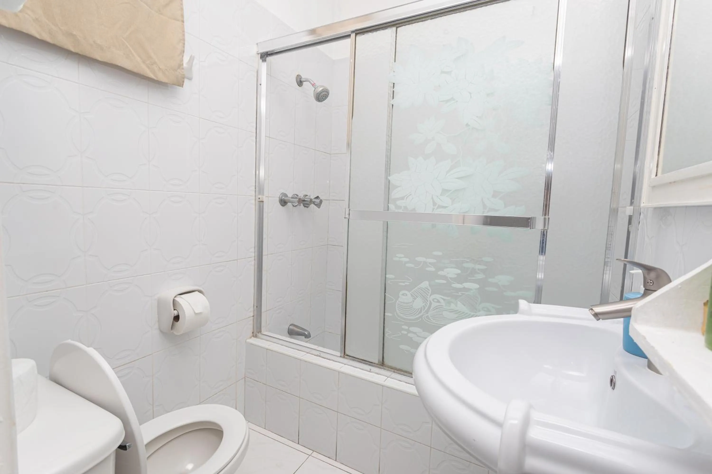 Shower in Caribic House