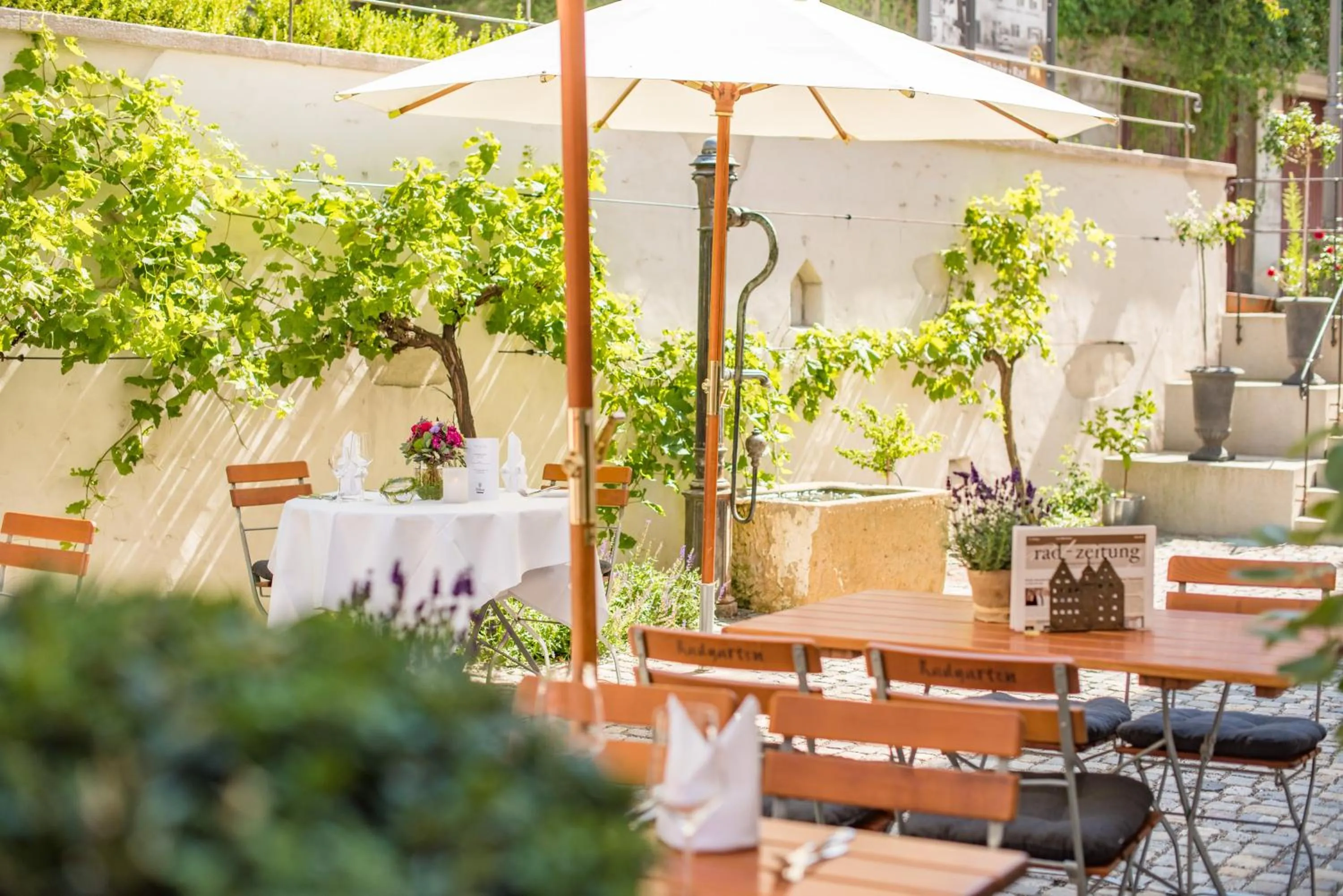 Restaurant/places to eat in Hotel Arthus