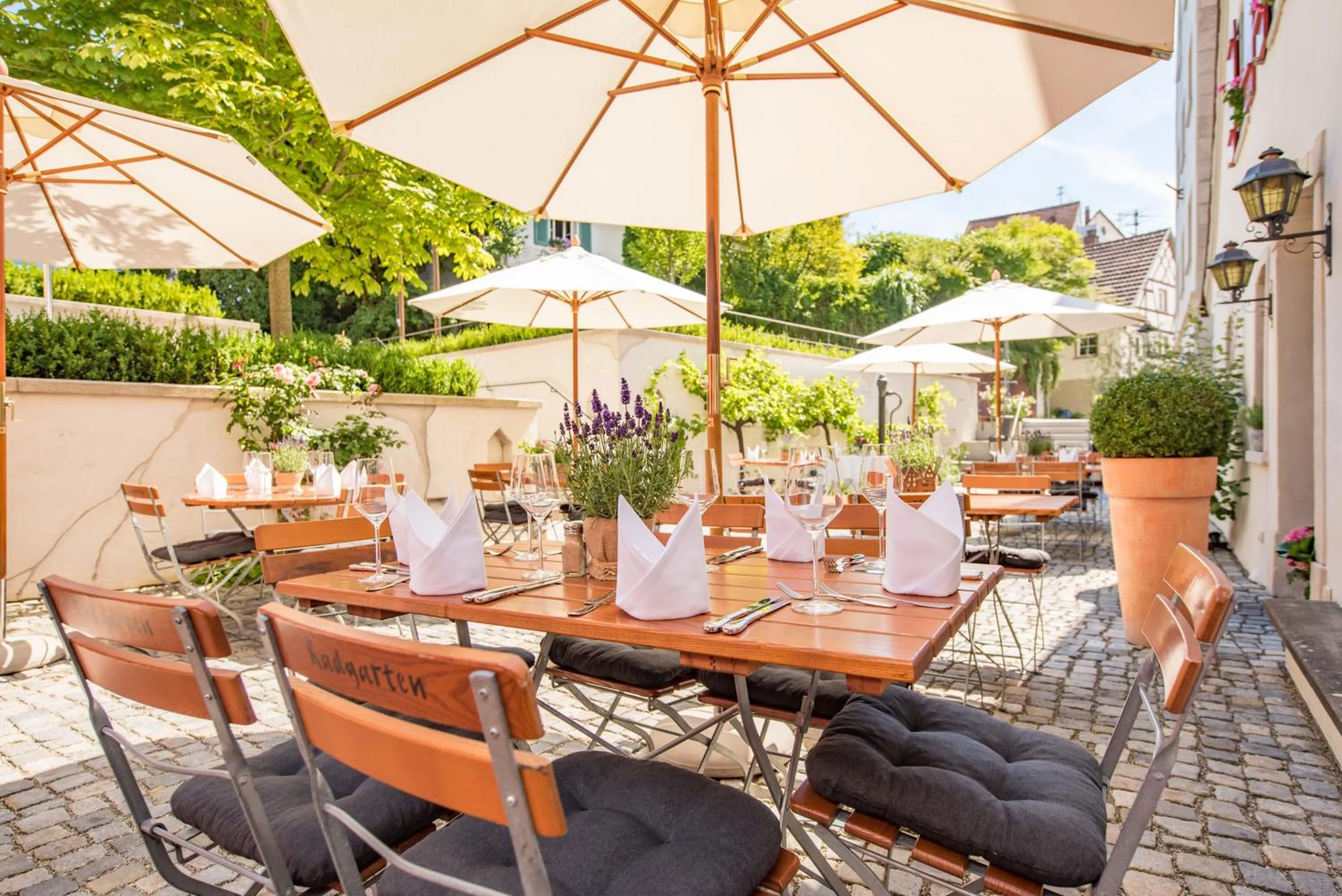 Restaurant/places to eat in Hotel Arthus