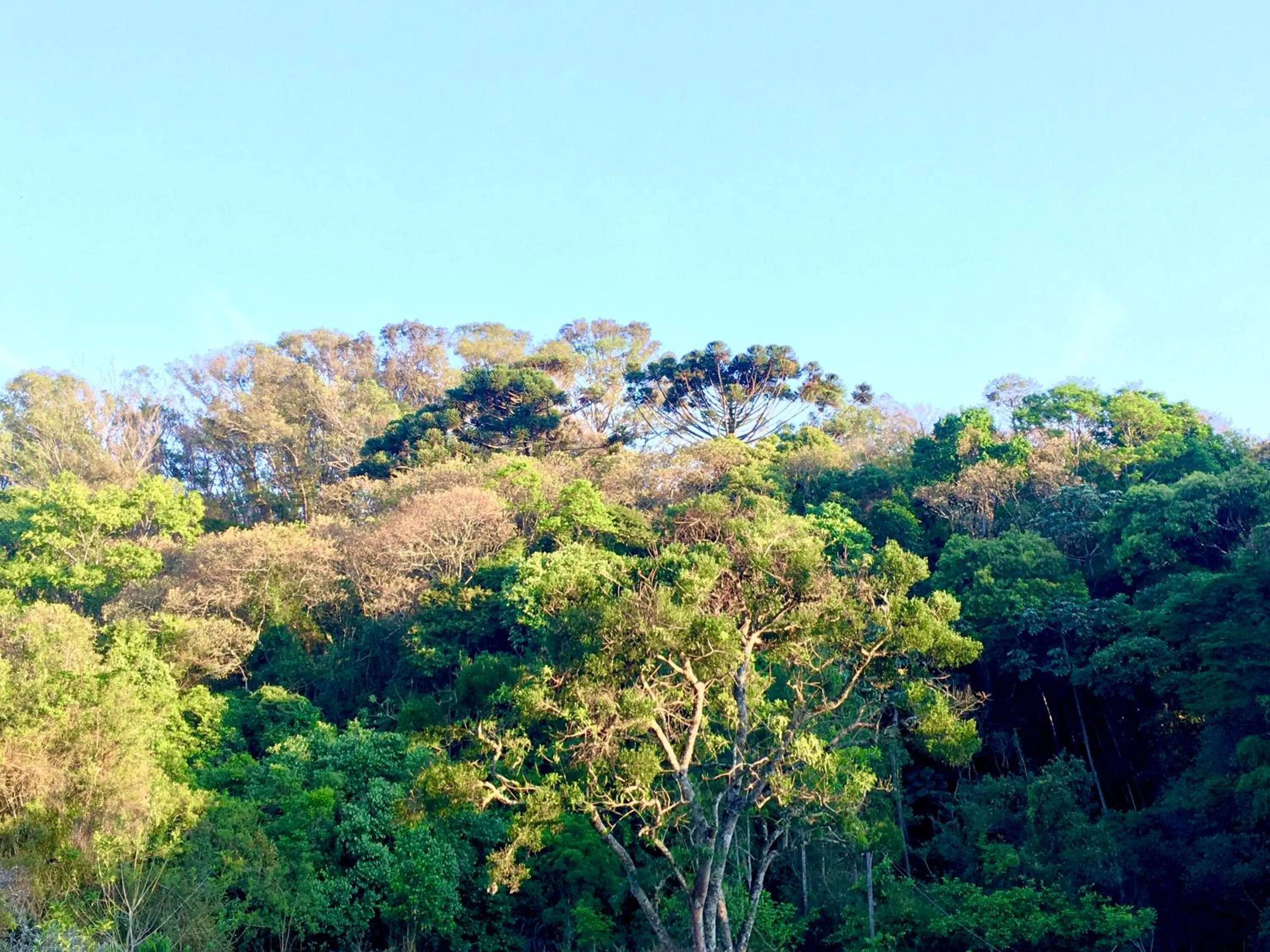 Natural landscape in Sítio Belucci