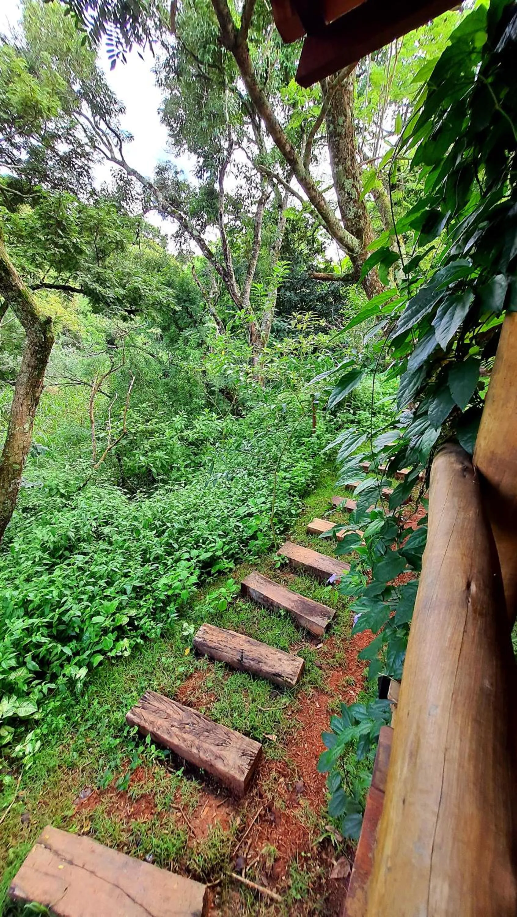 Garden in Sítio Belucci