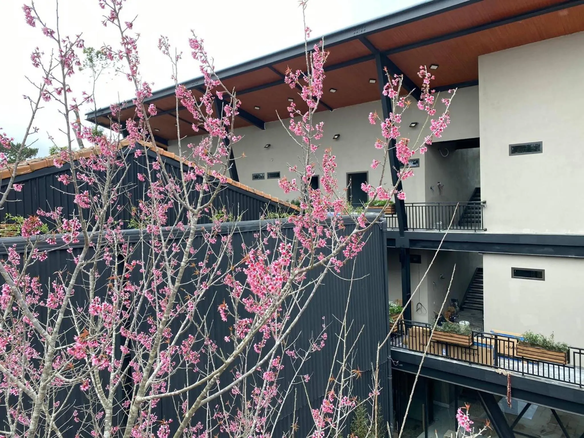 Balcony/Terrace in Bach Duong Hotel