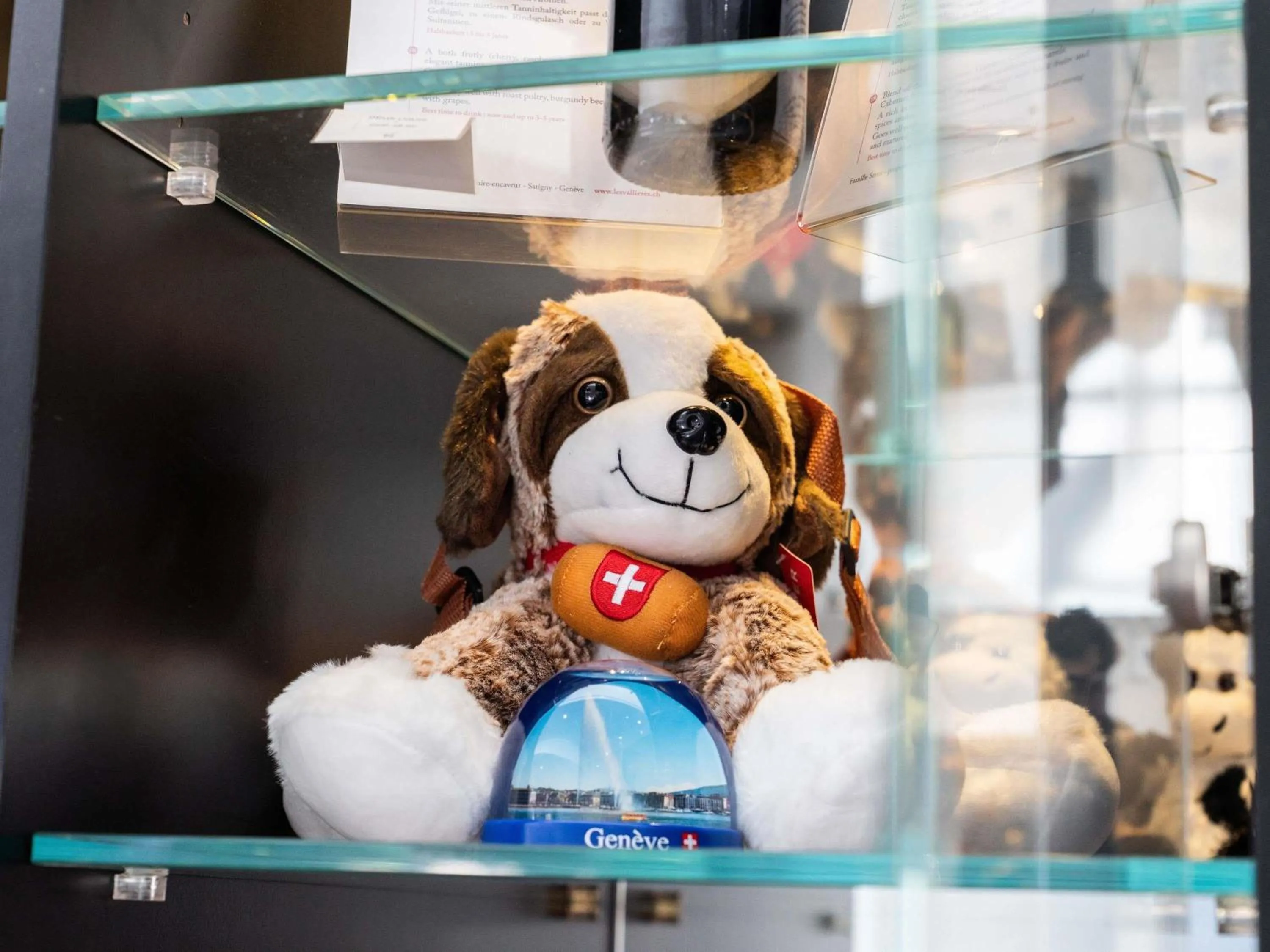 Other in Novotel Suites Genève Aéroport