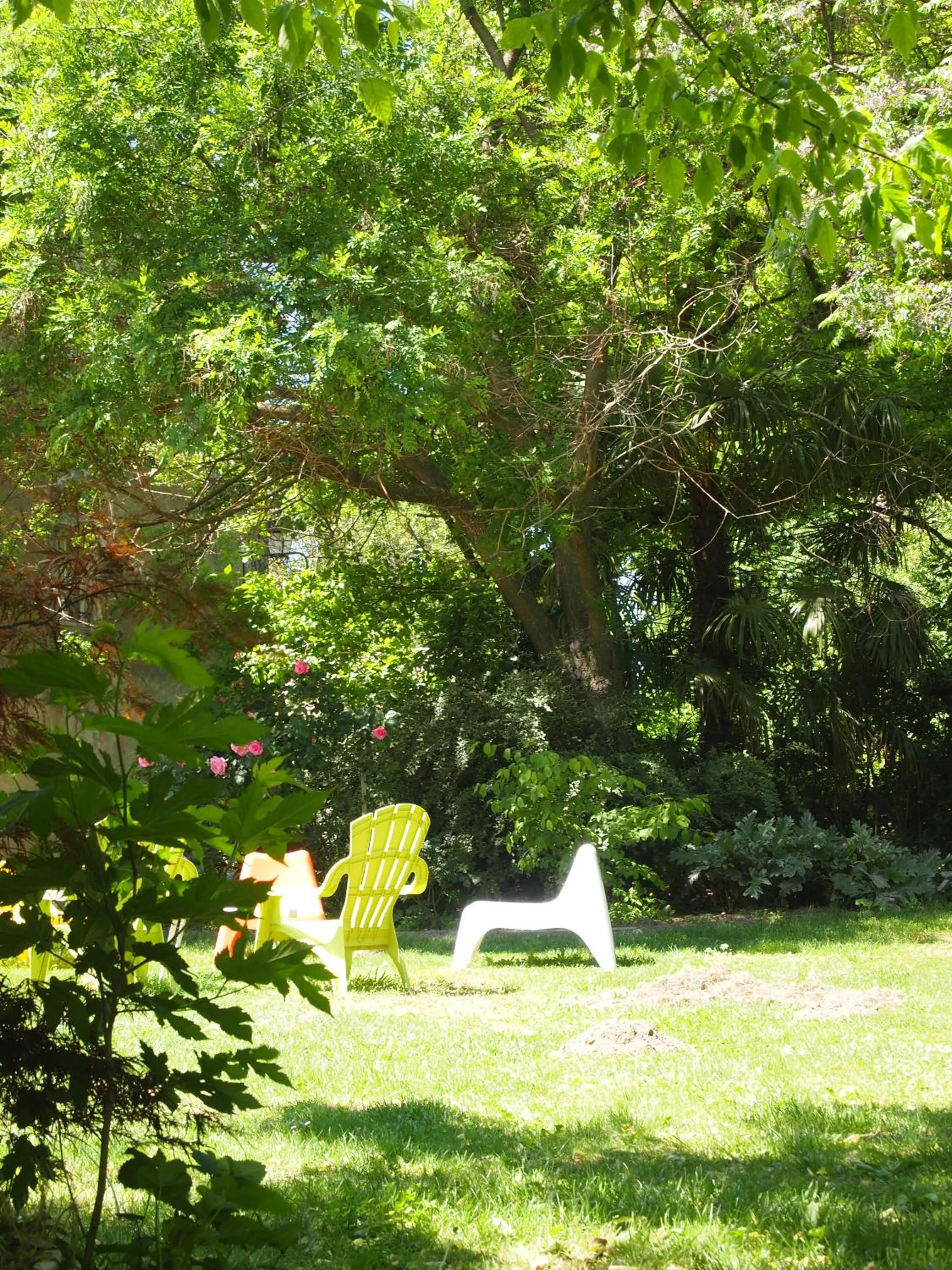 Garden in Orangerie de Cardet - Maison d'hôtes - B&B
