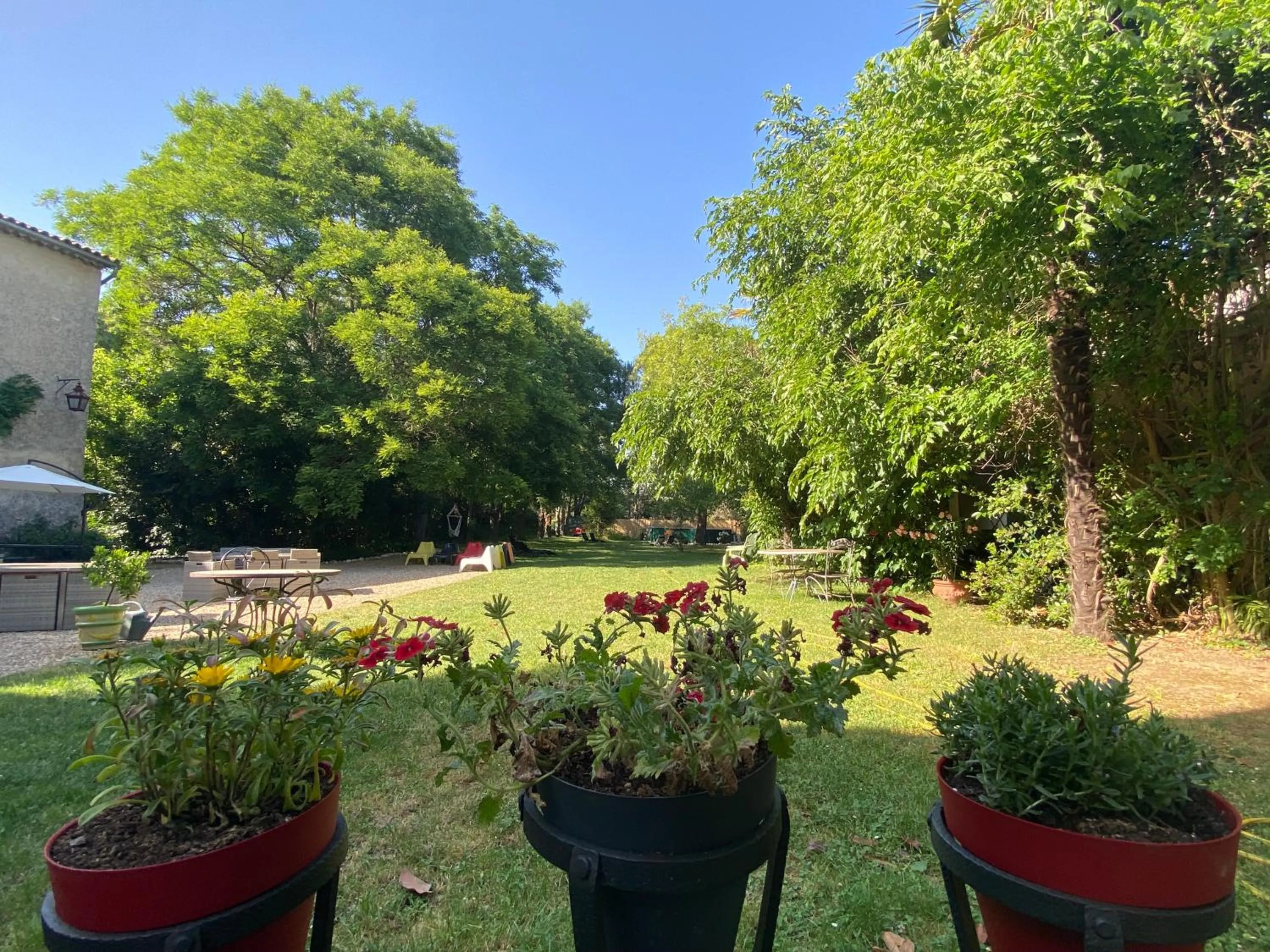 Garden in Orangerie de Cardet - Maison d'hôtes - B&B