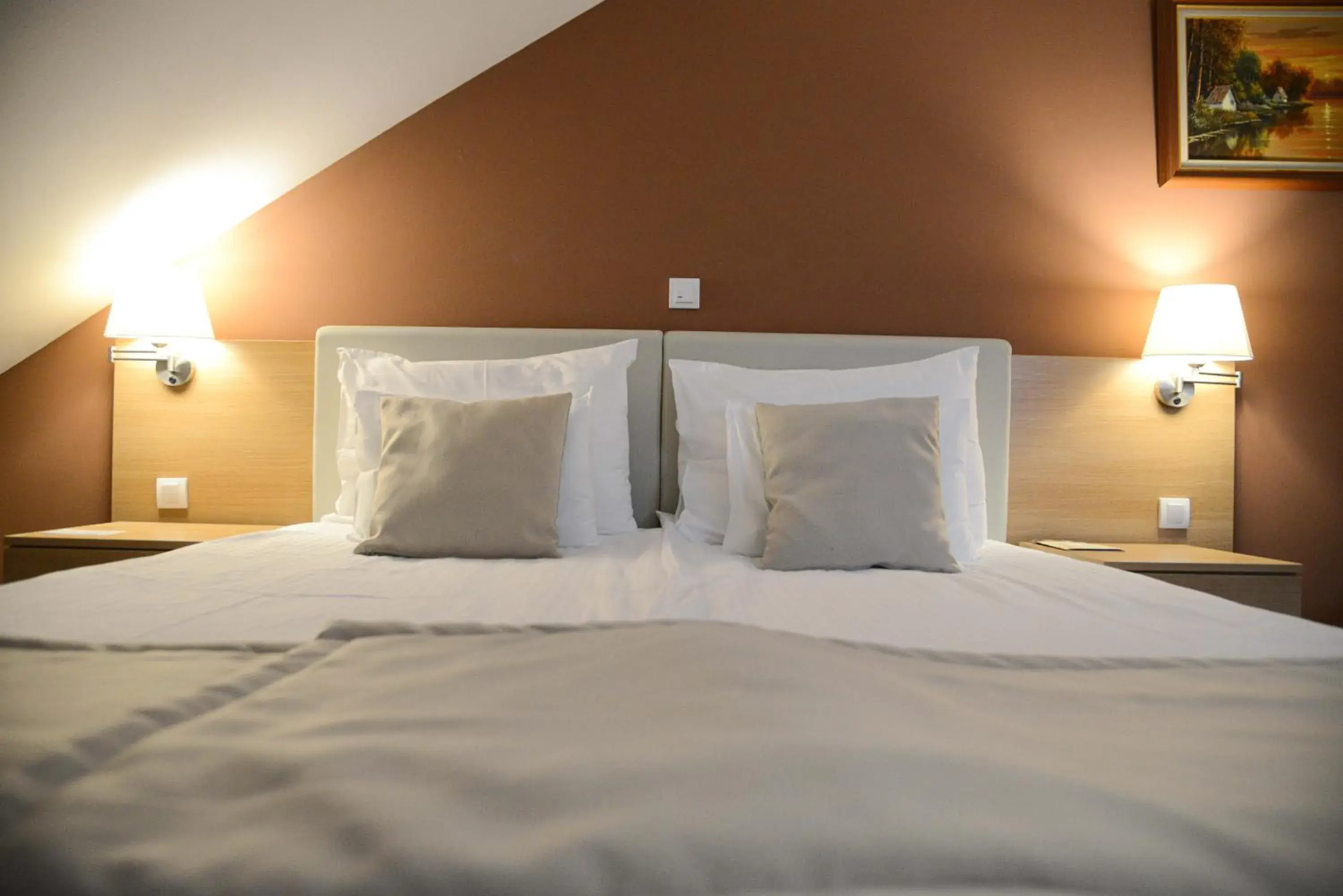 Double or Twin Room - single occupancy in Etno Naselje Vrdnička kula Double or Twin Room - single occupancy in Etno Naselje Vrdnička kula