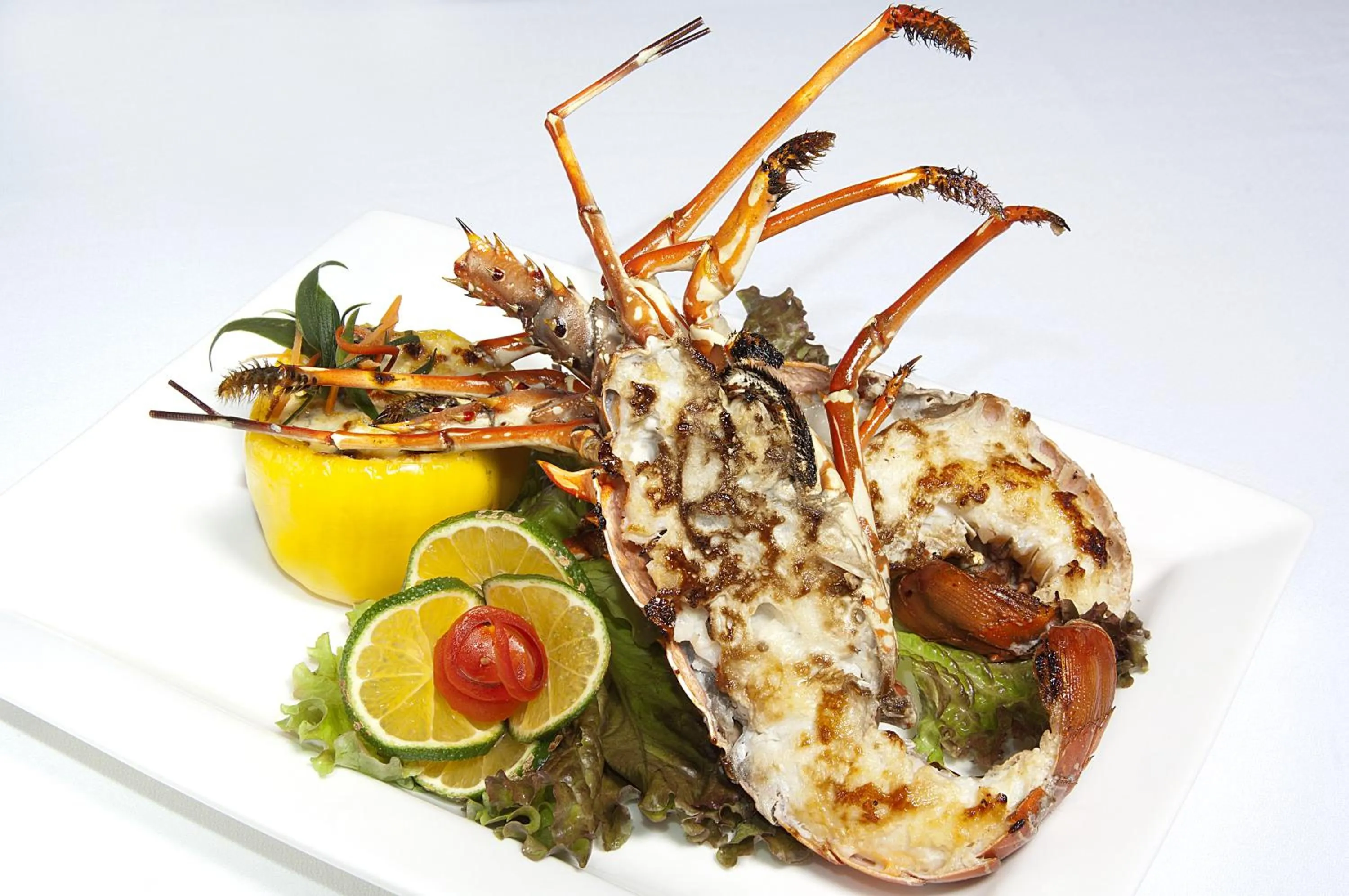 Restaurant/places to eat in Hotel Villabosque Eco Boutique