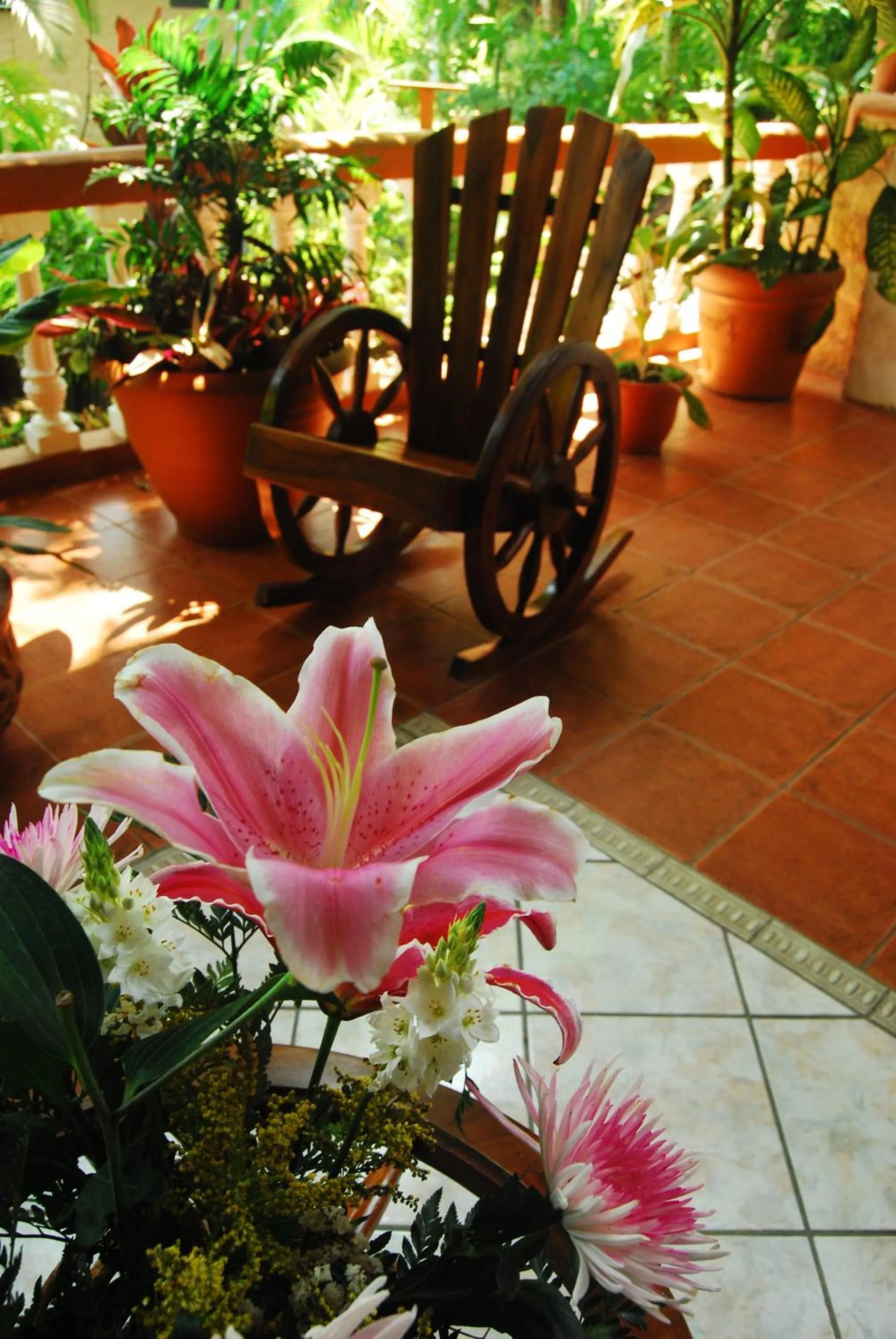 Nearby landmark in Hotel Villabosque Eco Boutique