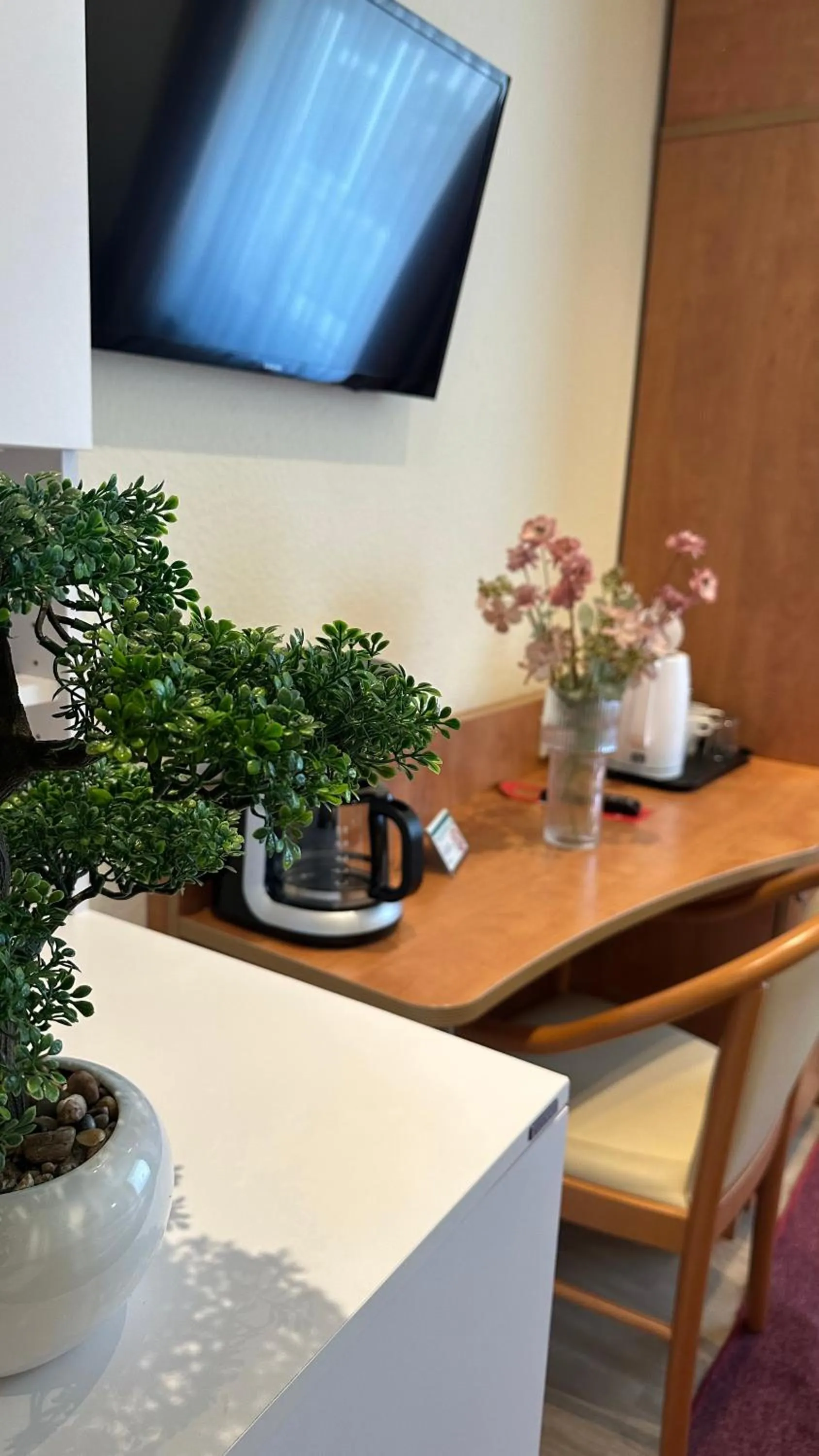 TV and multimedia in Hotel Falk