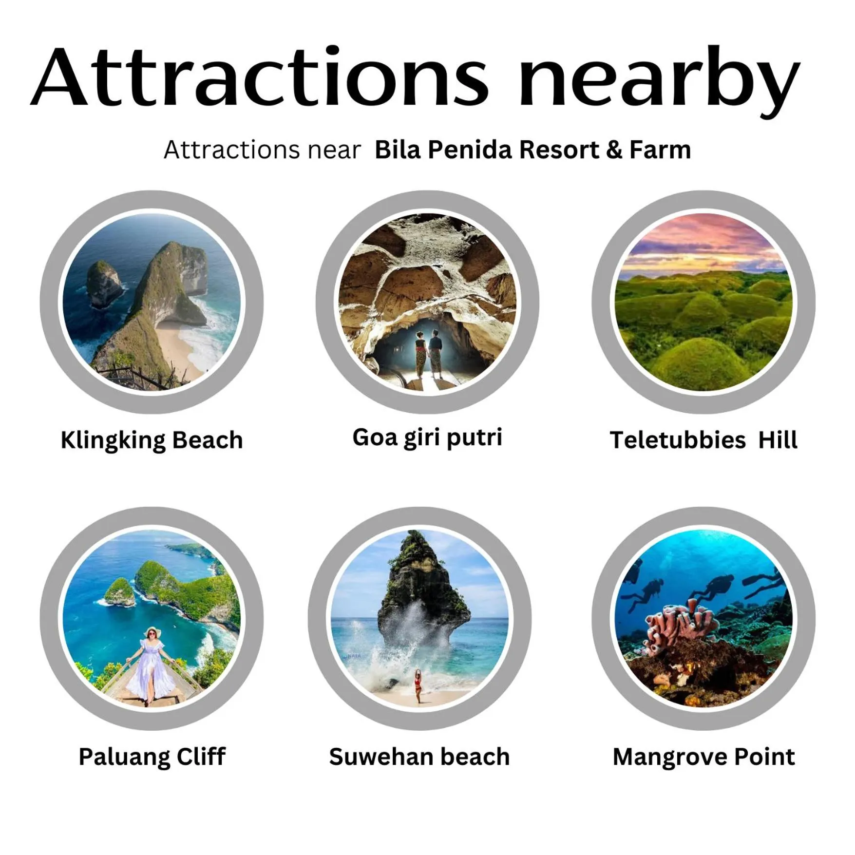 Activities in Bila Penida Resort & Farm
