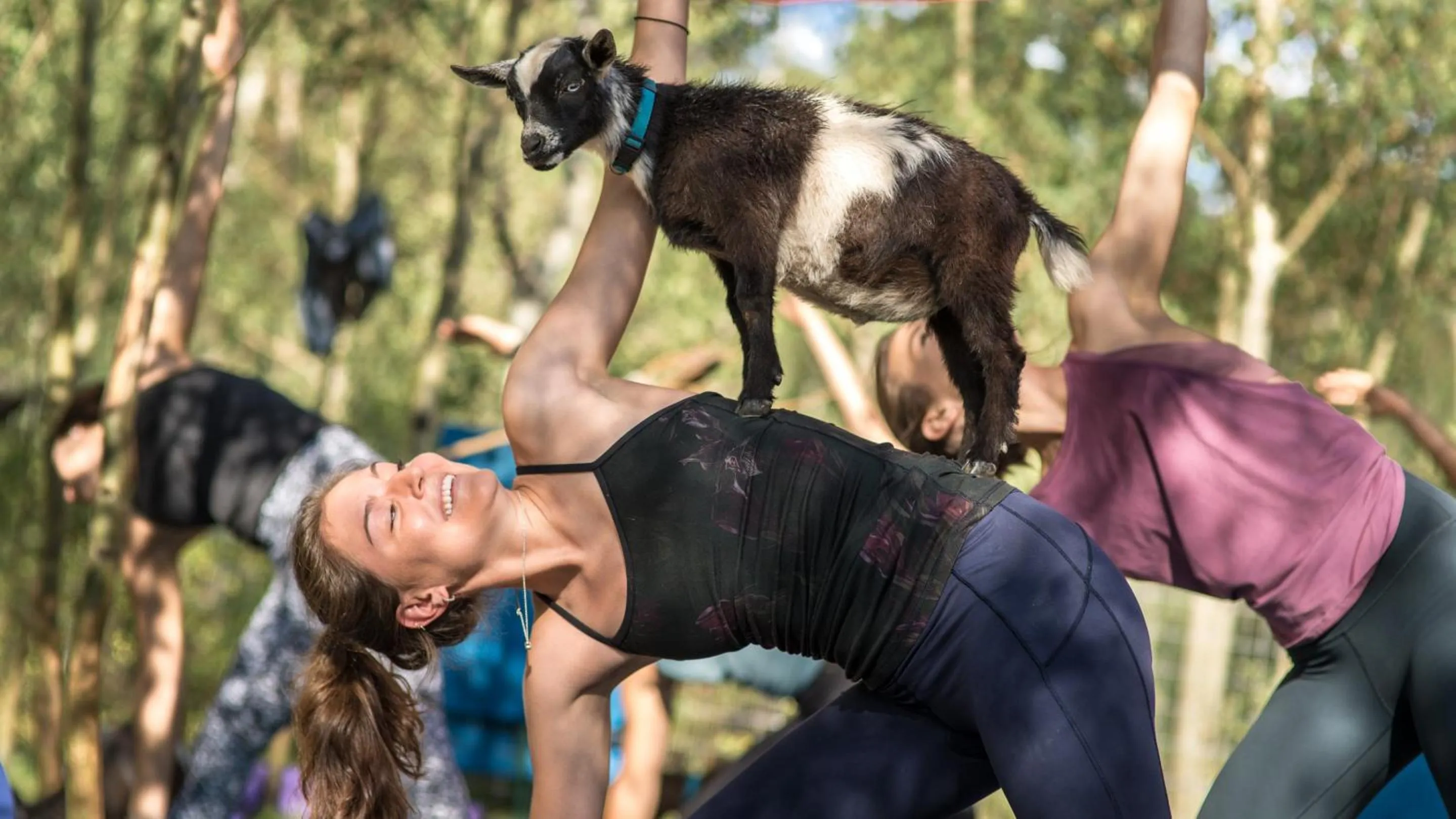 group of guests in Montaneros in Vail