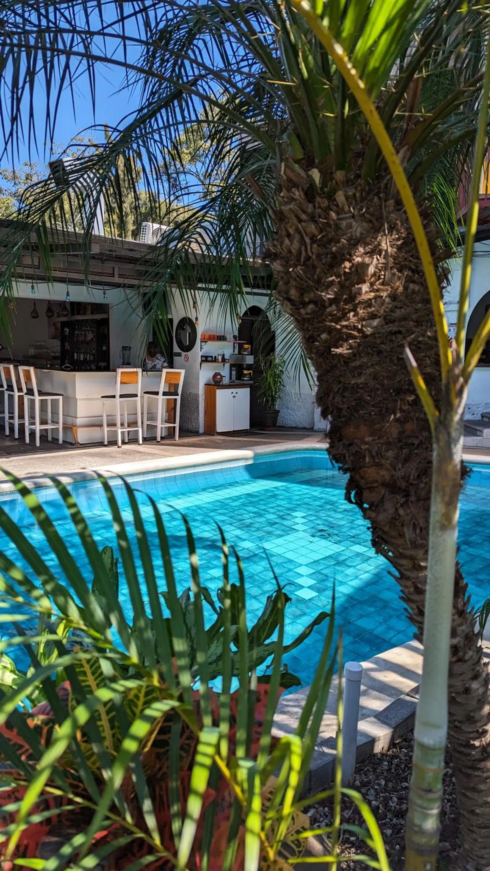 Swimming pool in Colours Oasis Resort ADULT ONLY