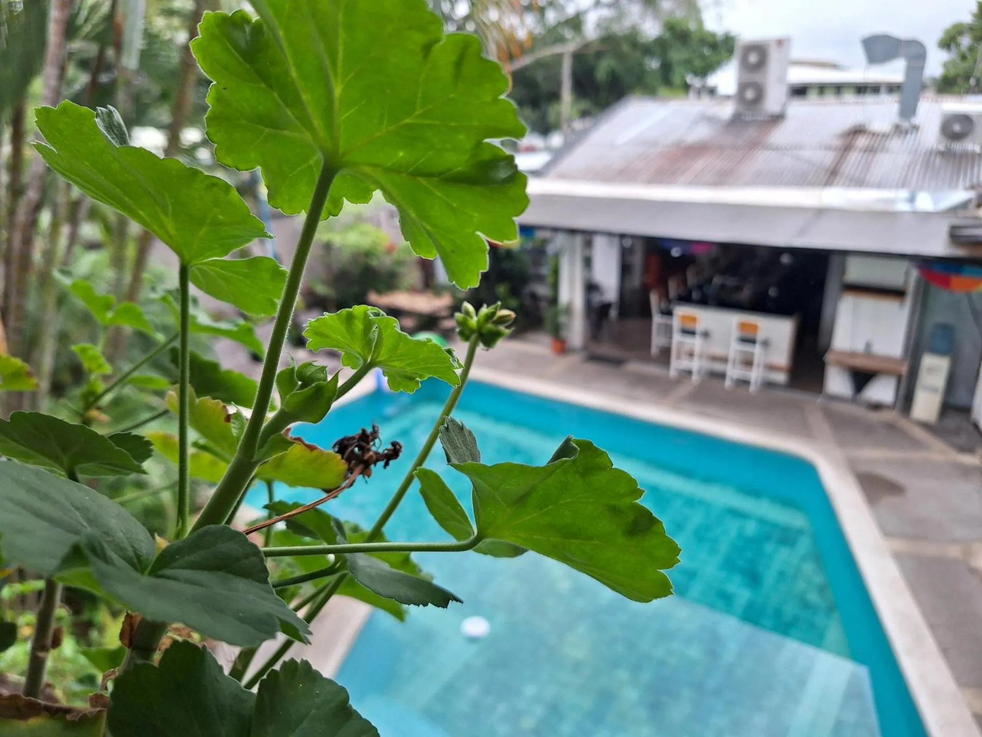 Patio in Colours Oasis Resort ADULT ONLY