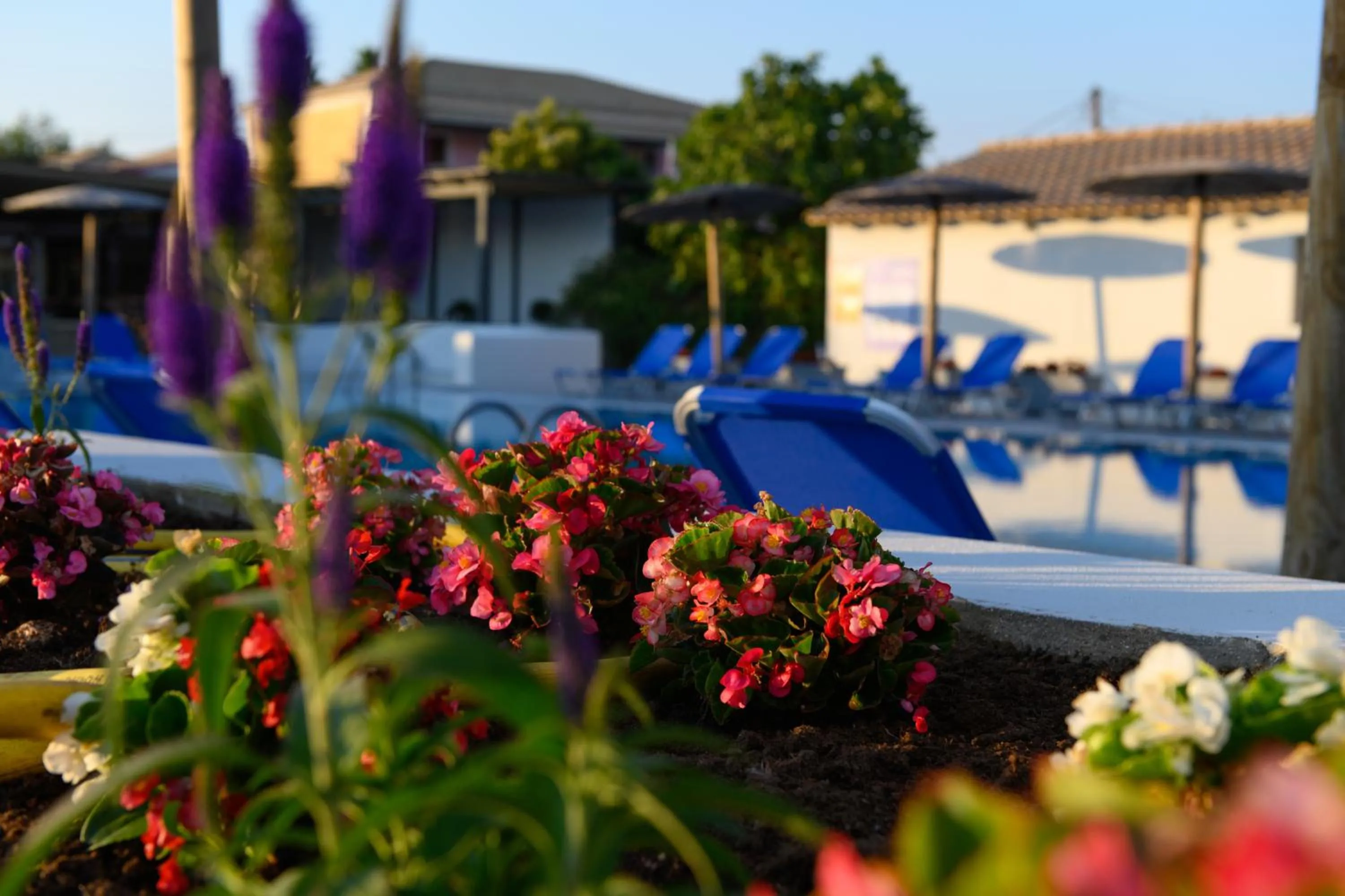 Swimming pool in Corfu SunGate Hotel