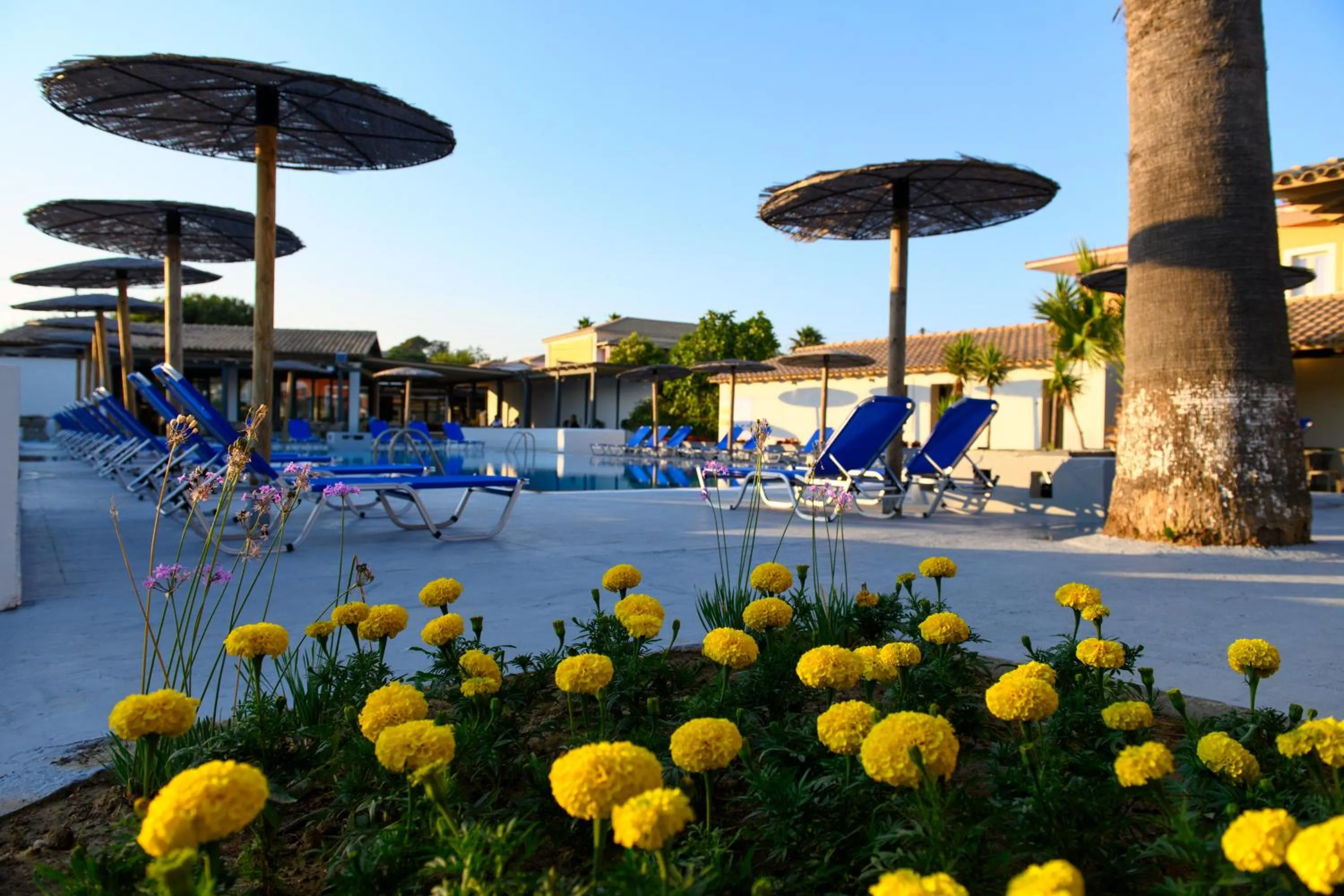 Swimming pool in Corfu SunGate Hotel