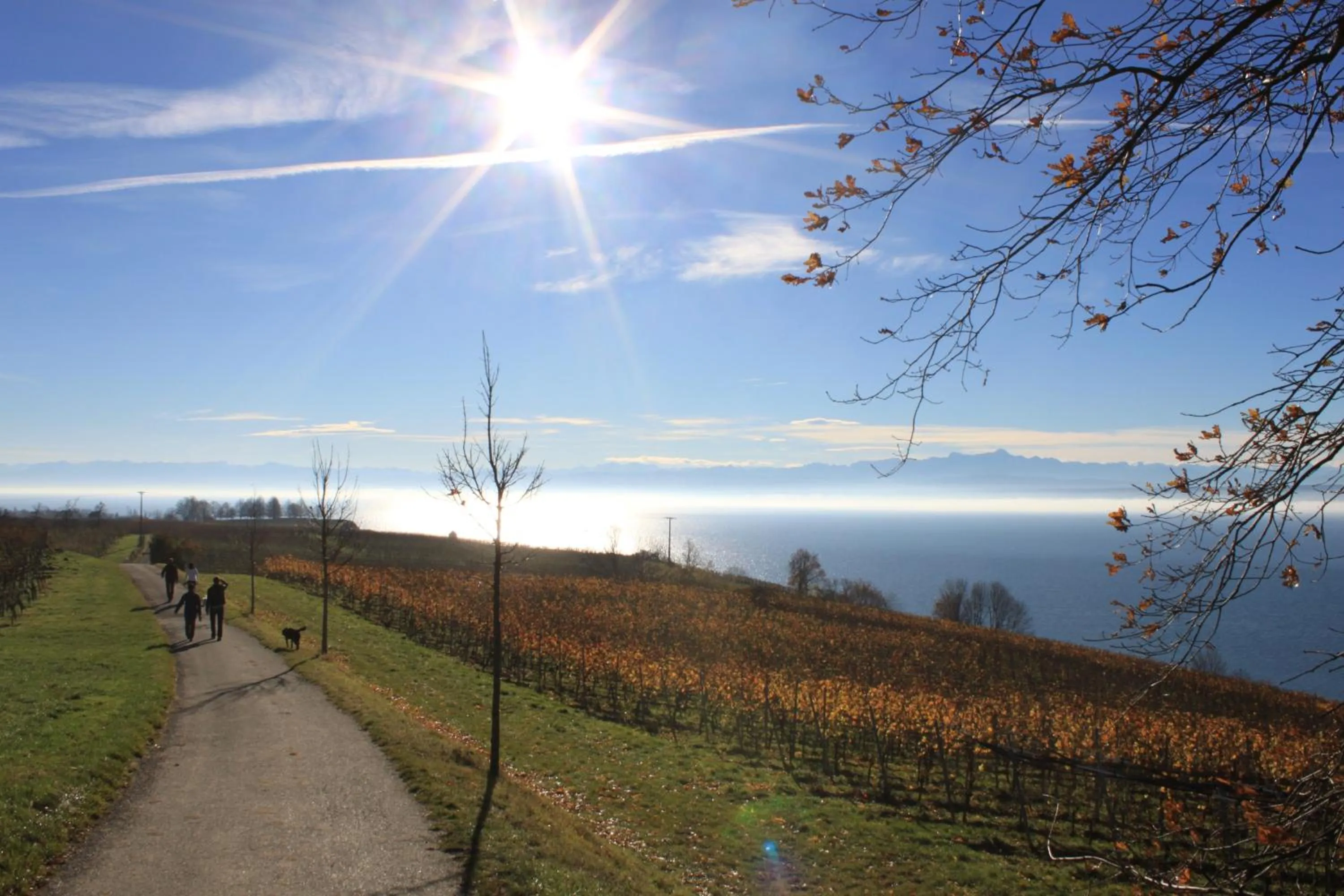 Nearby landmark in Hotel Garni Eden