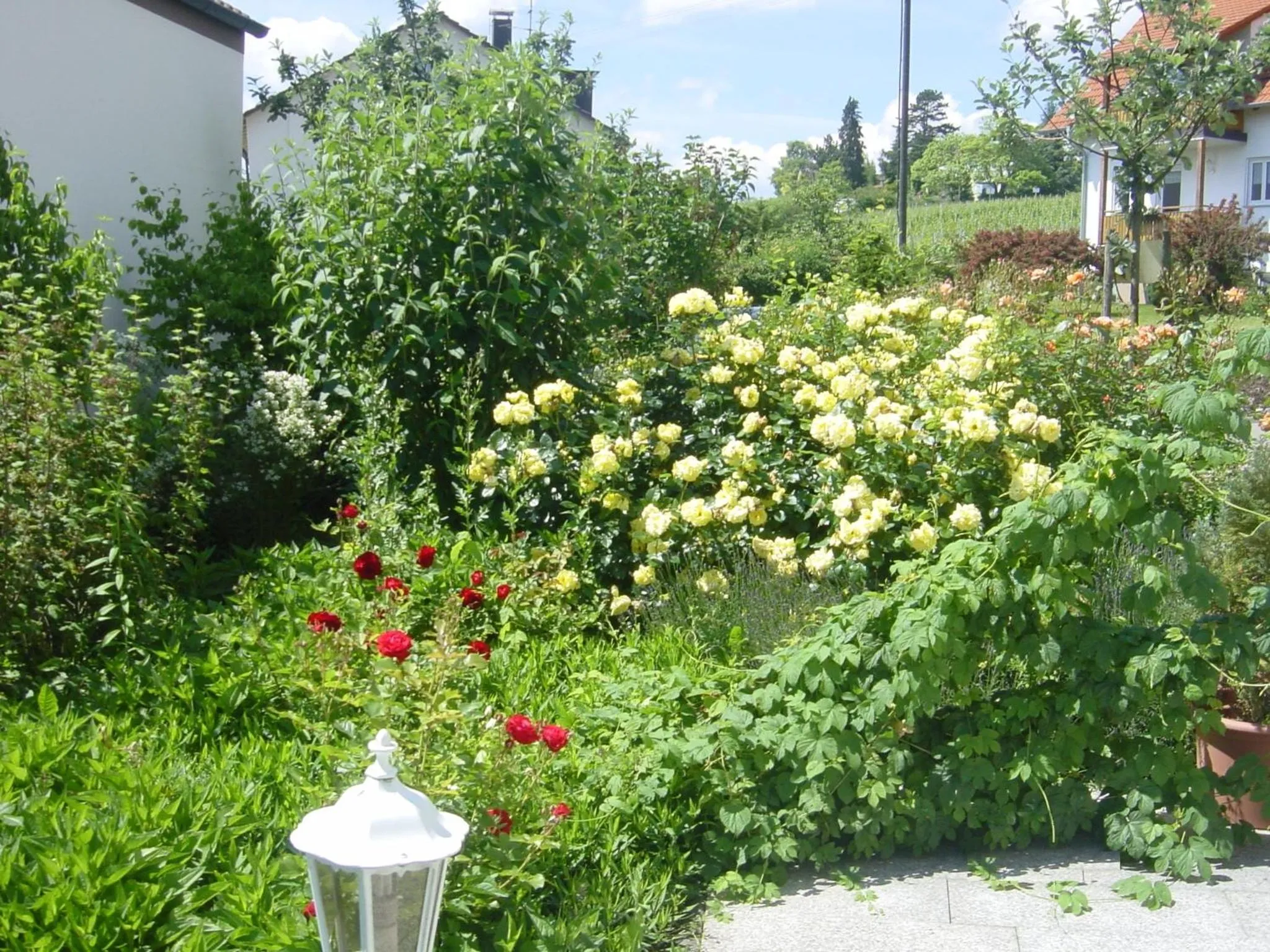 Balcony/Terrace in Hotel Garni Eden