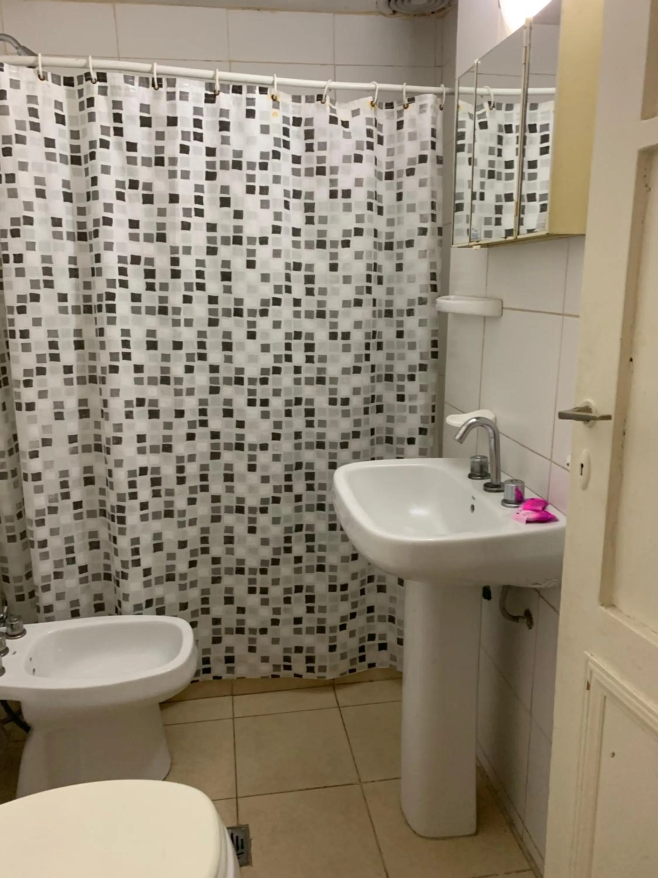 Toilet in Palace Hotel Mendoza